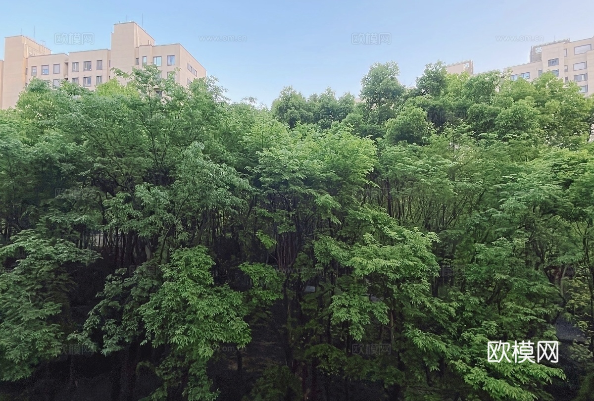 现代小区外景贴图