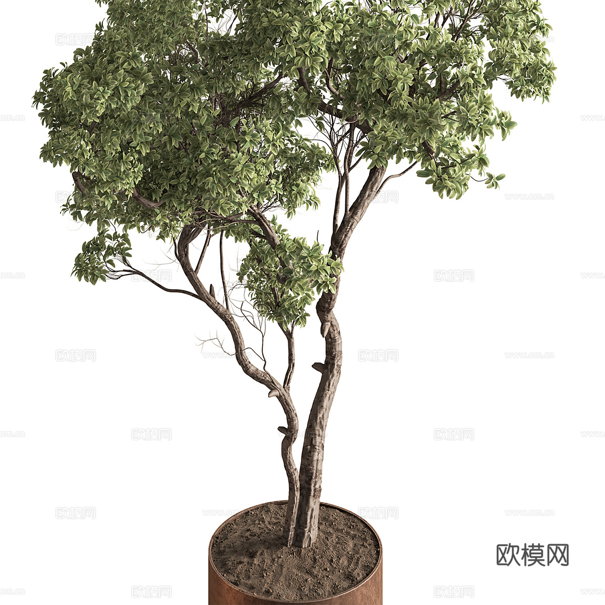 新中式轻奢绿植盆栽3d模型