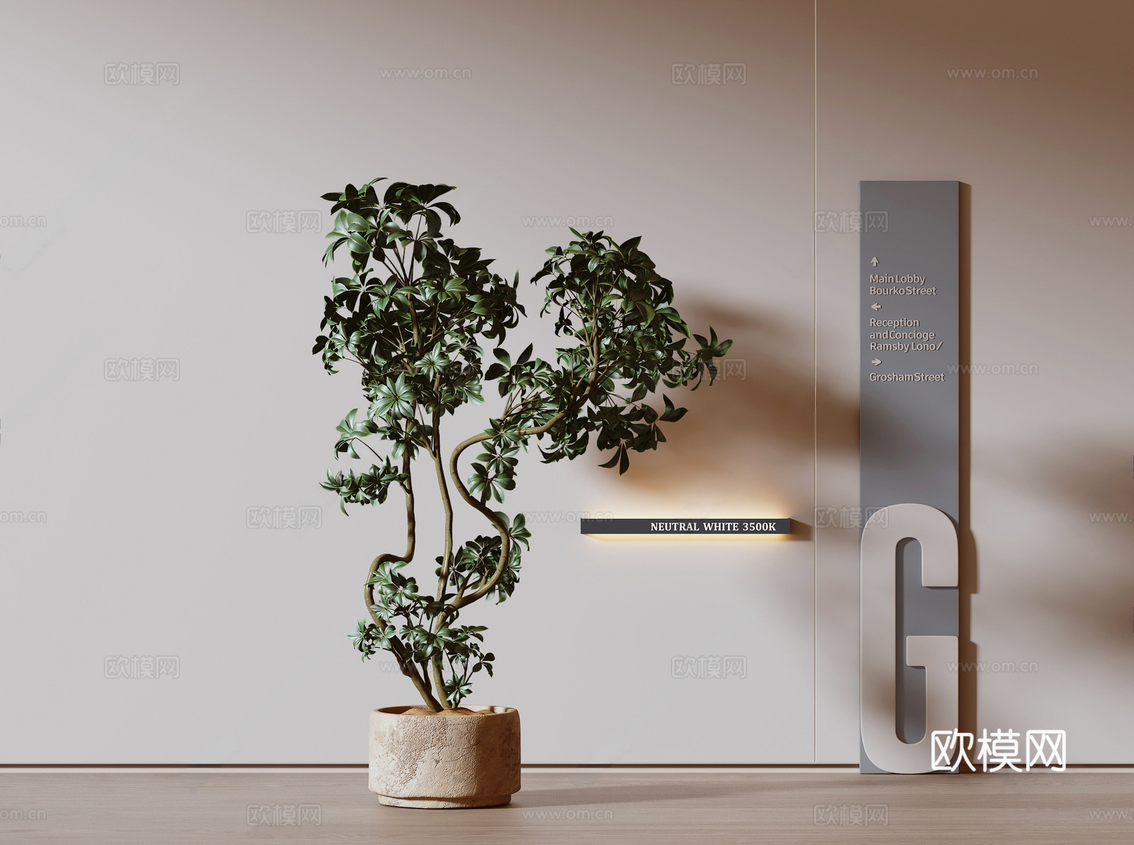 现代盆栽 现代绿植 盆栽 鹅掌柴盆栽 植物花盆 壁灯 电梯导3d模型
