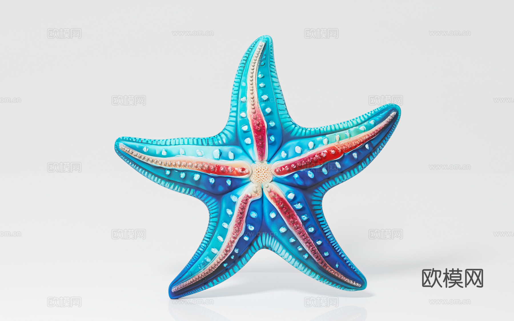 海星 海洋生物 标本样品 展览展示 科普教育 手办公仔 玩具3d模型