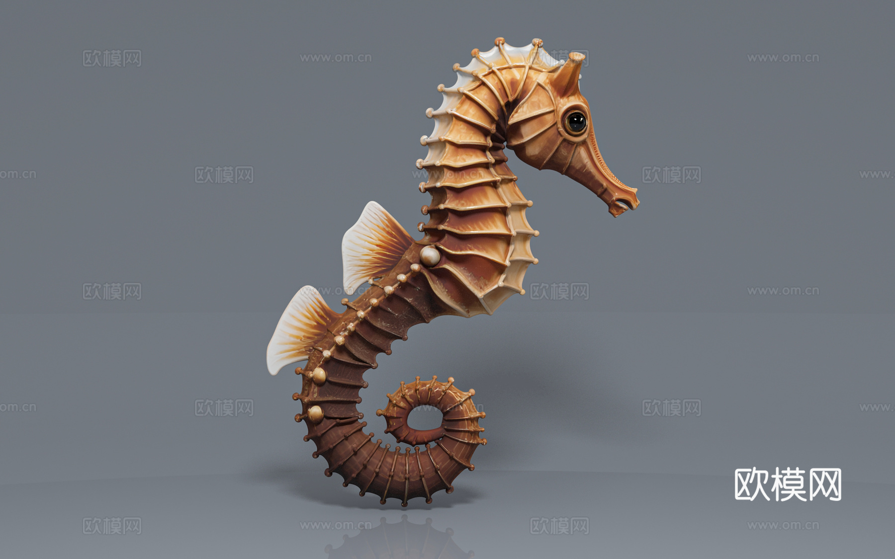 海马标本海洋生物 科普教育 展览展示 雕塑摆件 手办玩具 饰3d模型