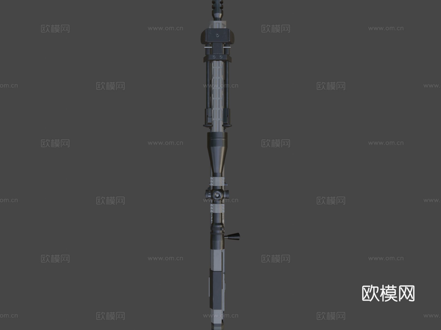 DSR-13d模型
