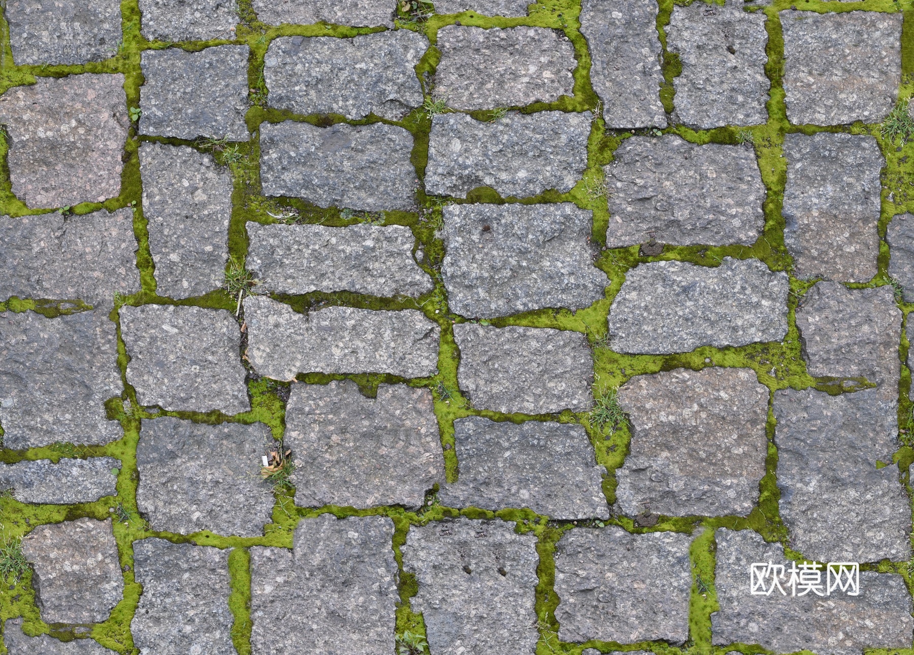 长草_马蹄石_植草砖贴图下载