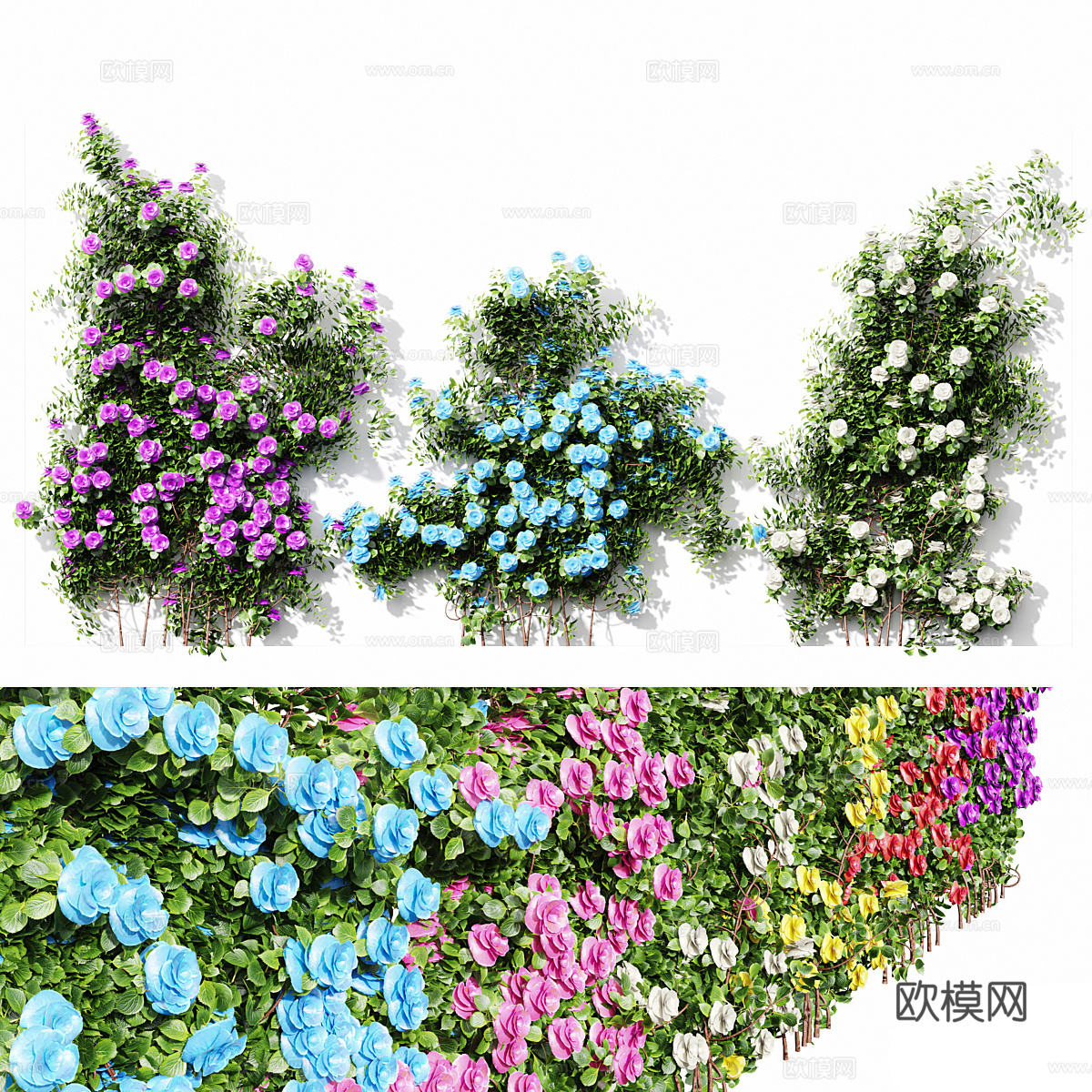 现代藤曼绿植3d模型