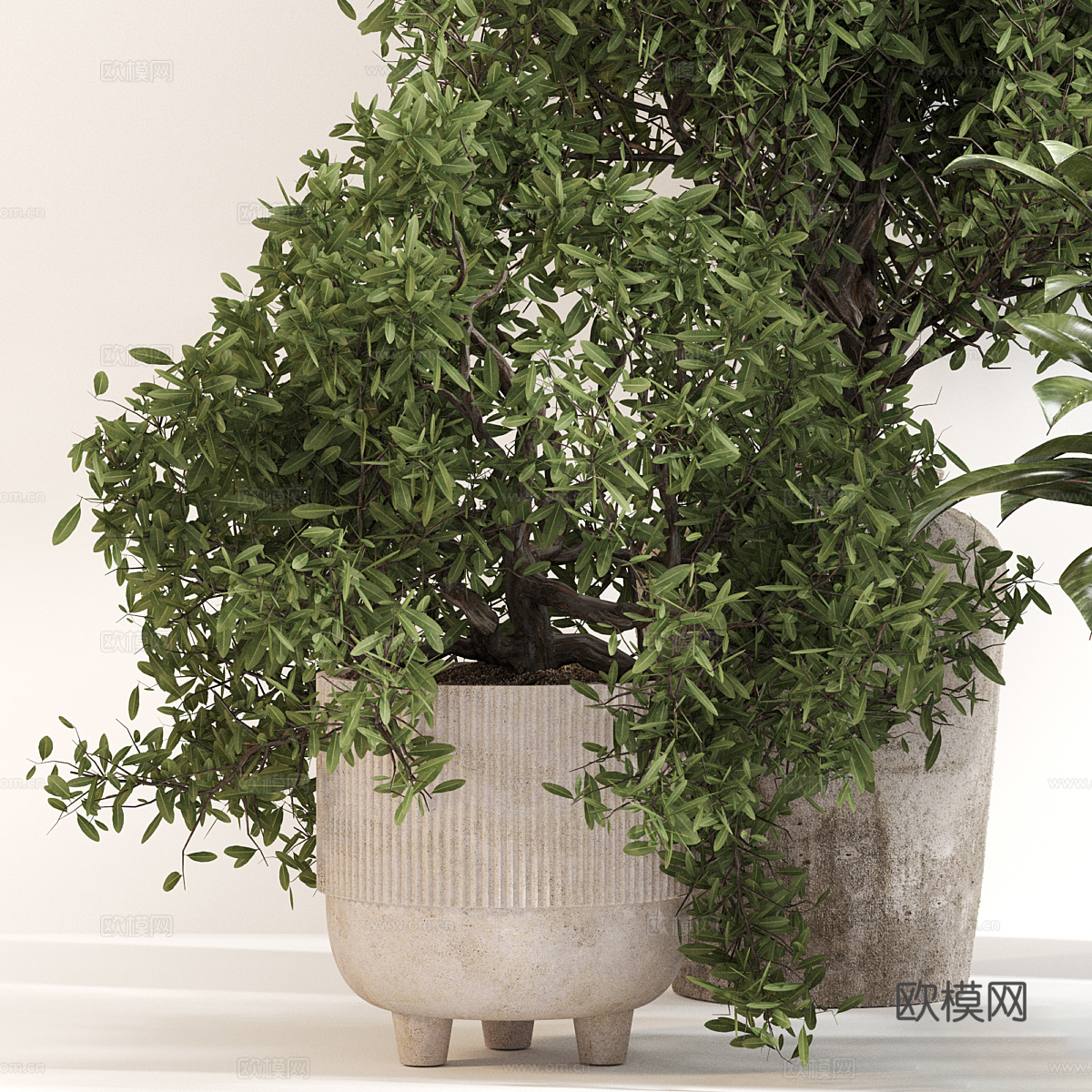新中式绿植盆栽3d模型