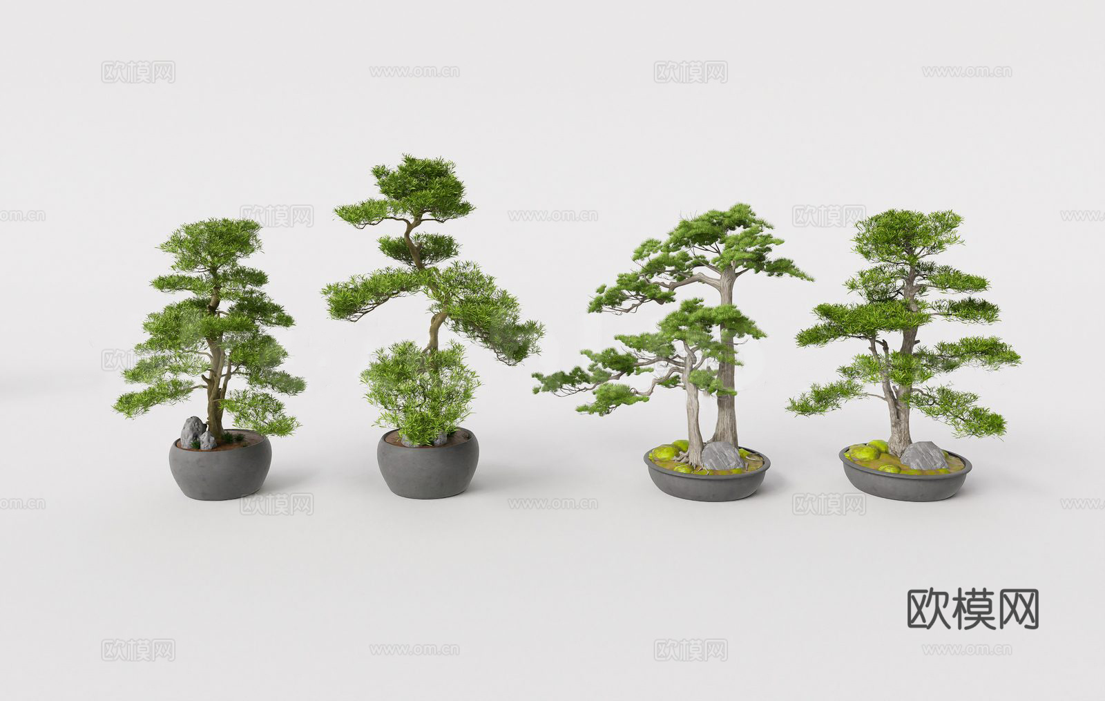 侘寂风绿植盆栽 松柏 老桩su模型