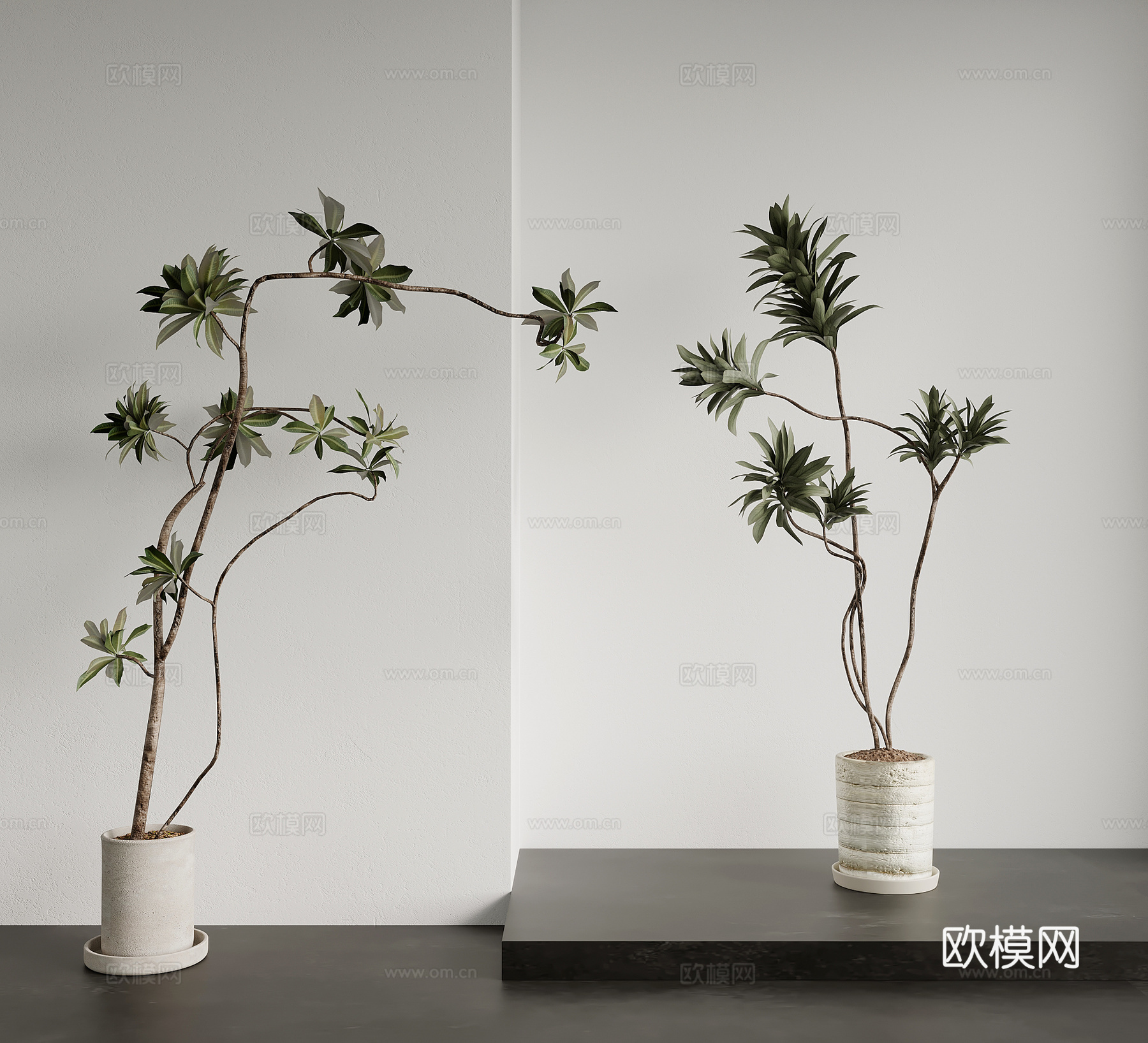 绿植 中古风绿植盆栽 盆景 树3d模型