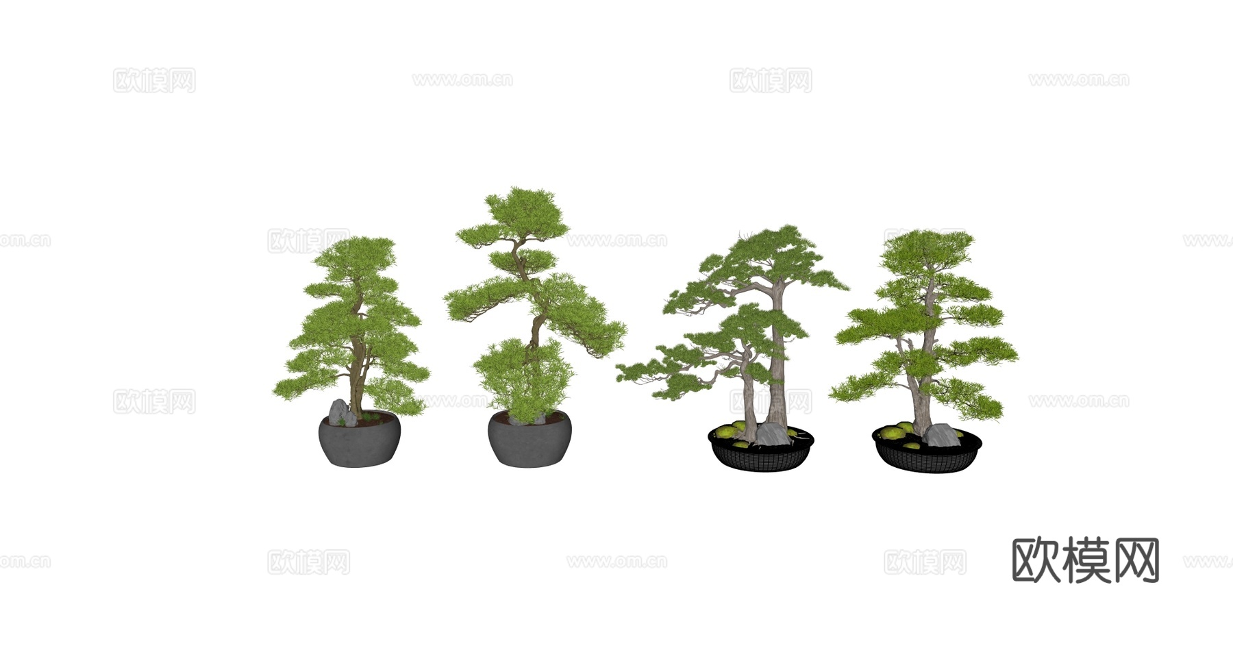 侘寂风绿植盆栽 松柏 老桩su模型