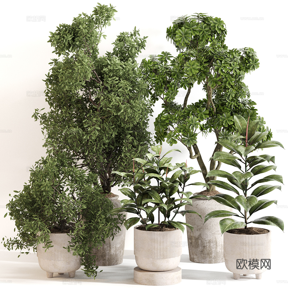 新中式绿植盆栽3d模型