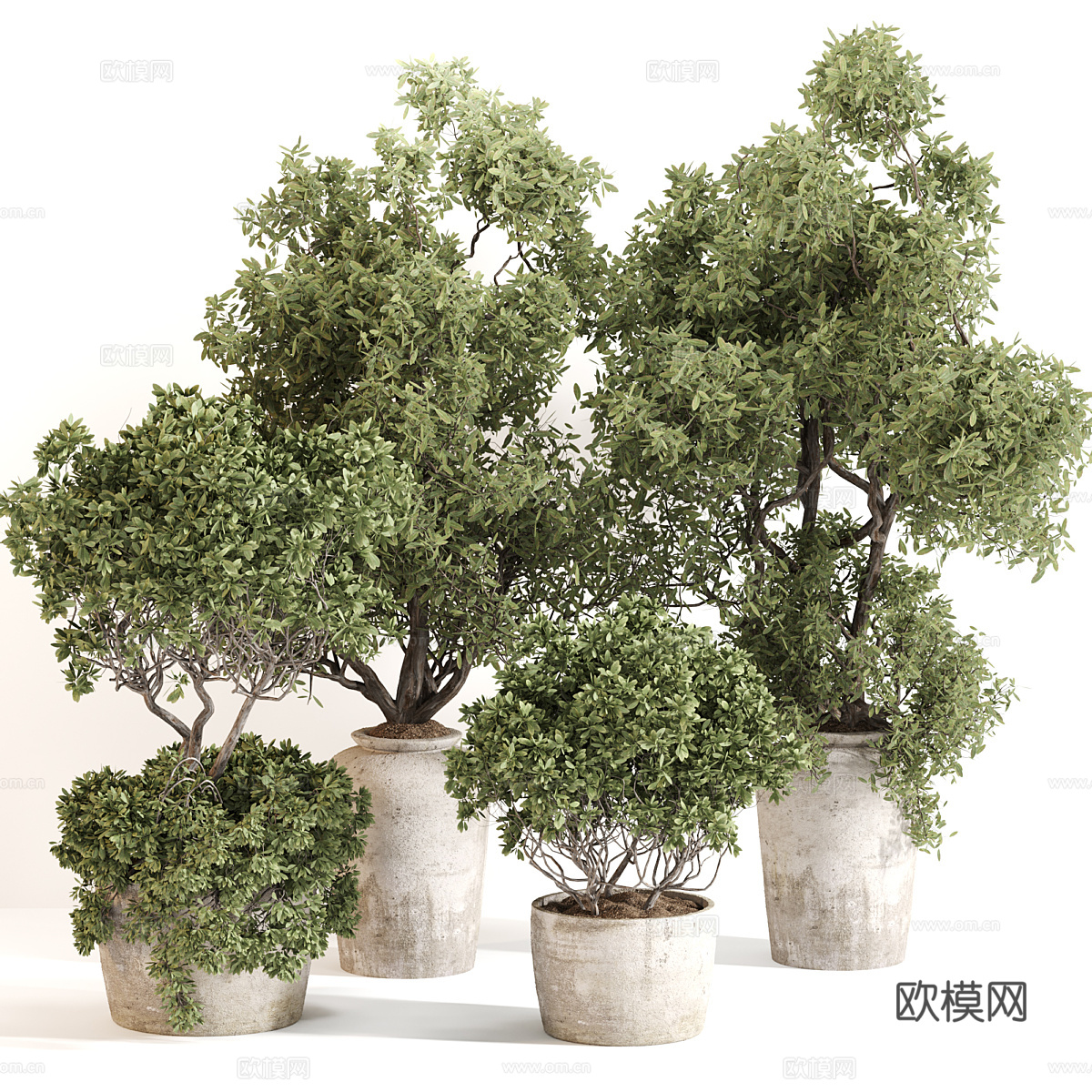新中式侘寂绿植盆栽3d模型