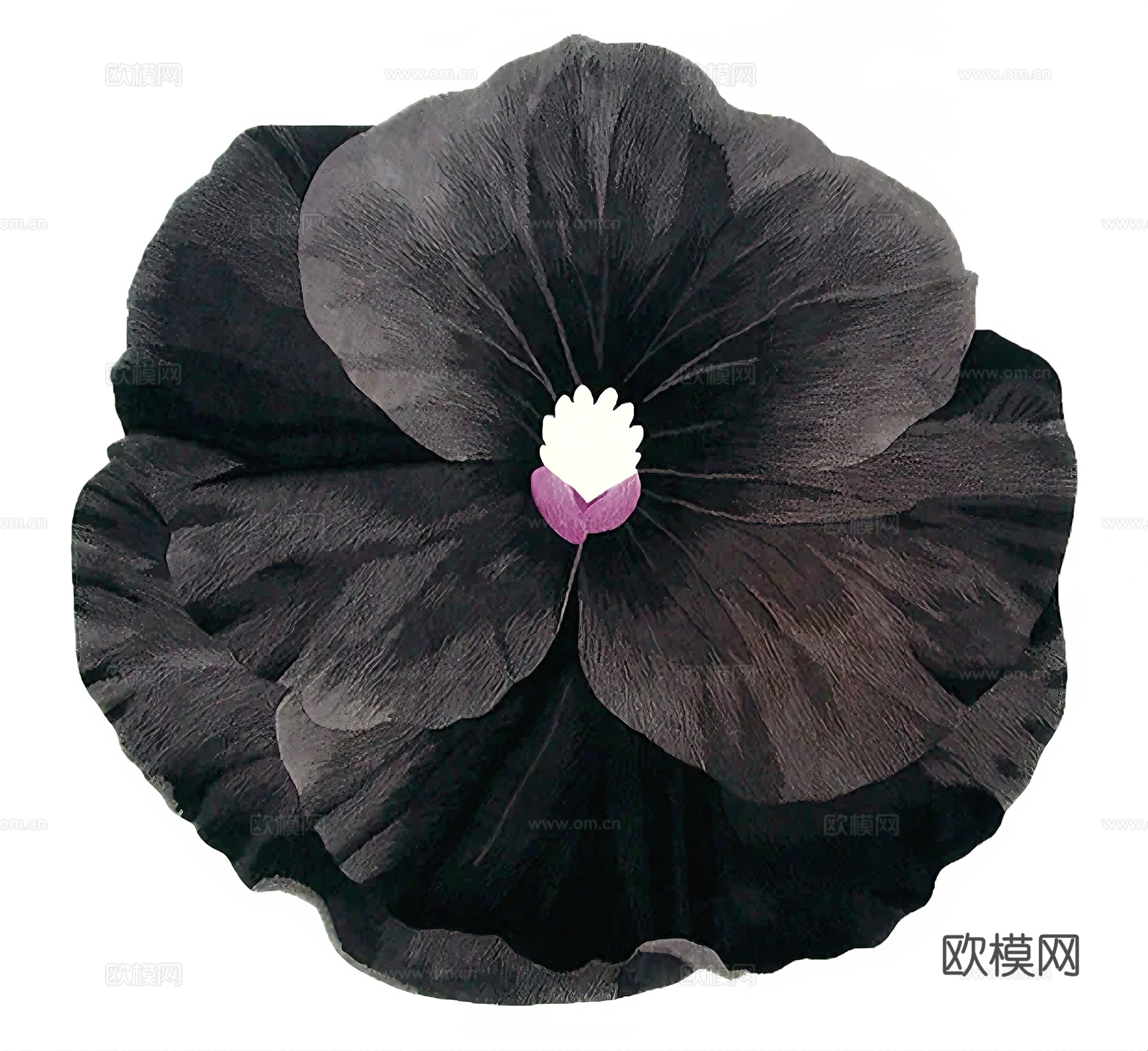 Black Pansy 新西兰地毯