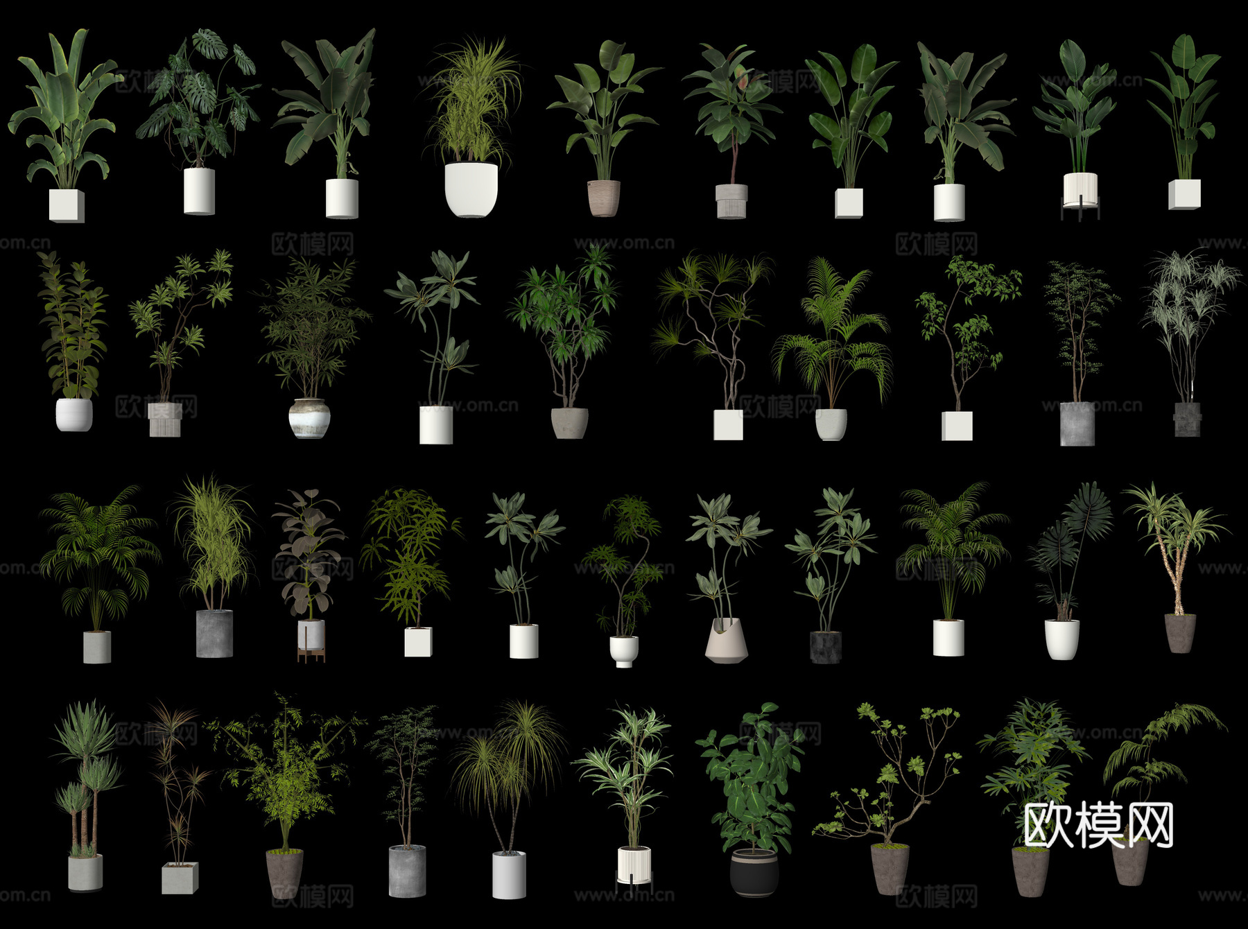 现代绿植盆栽 植物盆景盆栽 室内盆景盆栽 热带植物花盆摆件su模型