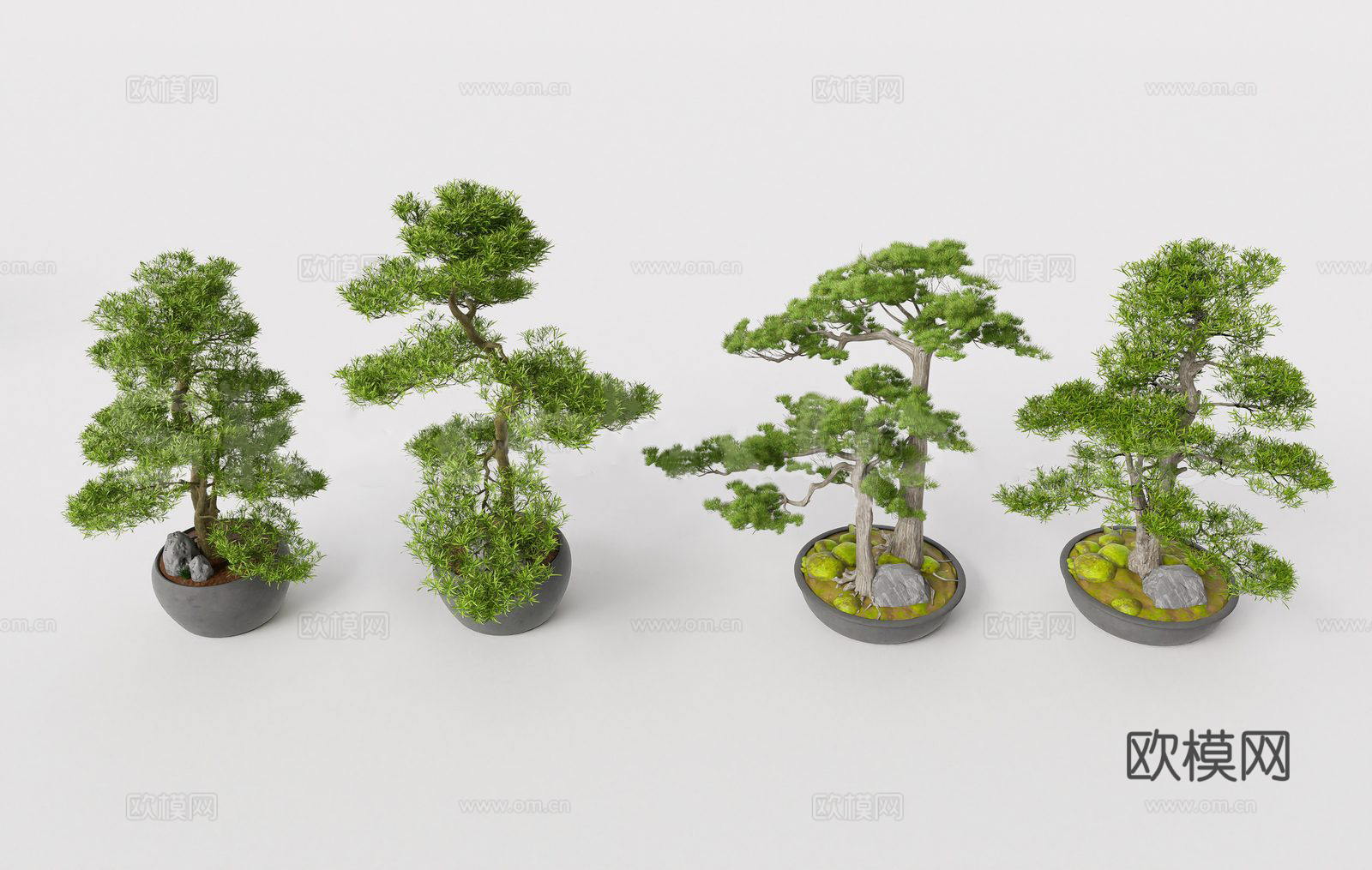 侘寂风绿植盆栽 松柏 老桩su模型