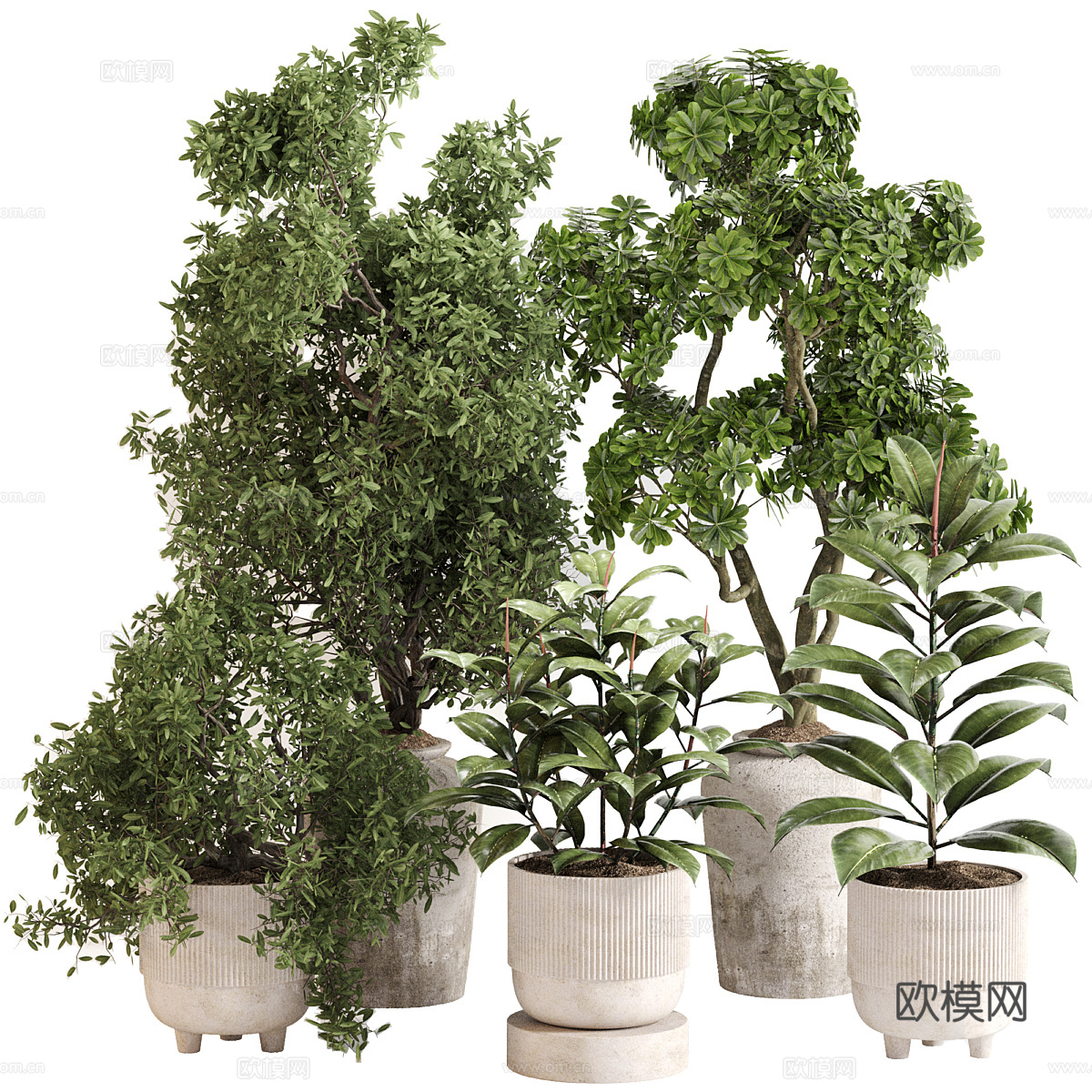 新中式绿植盆栽3d模型
