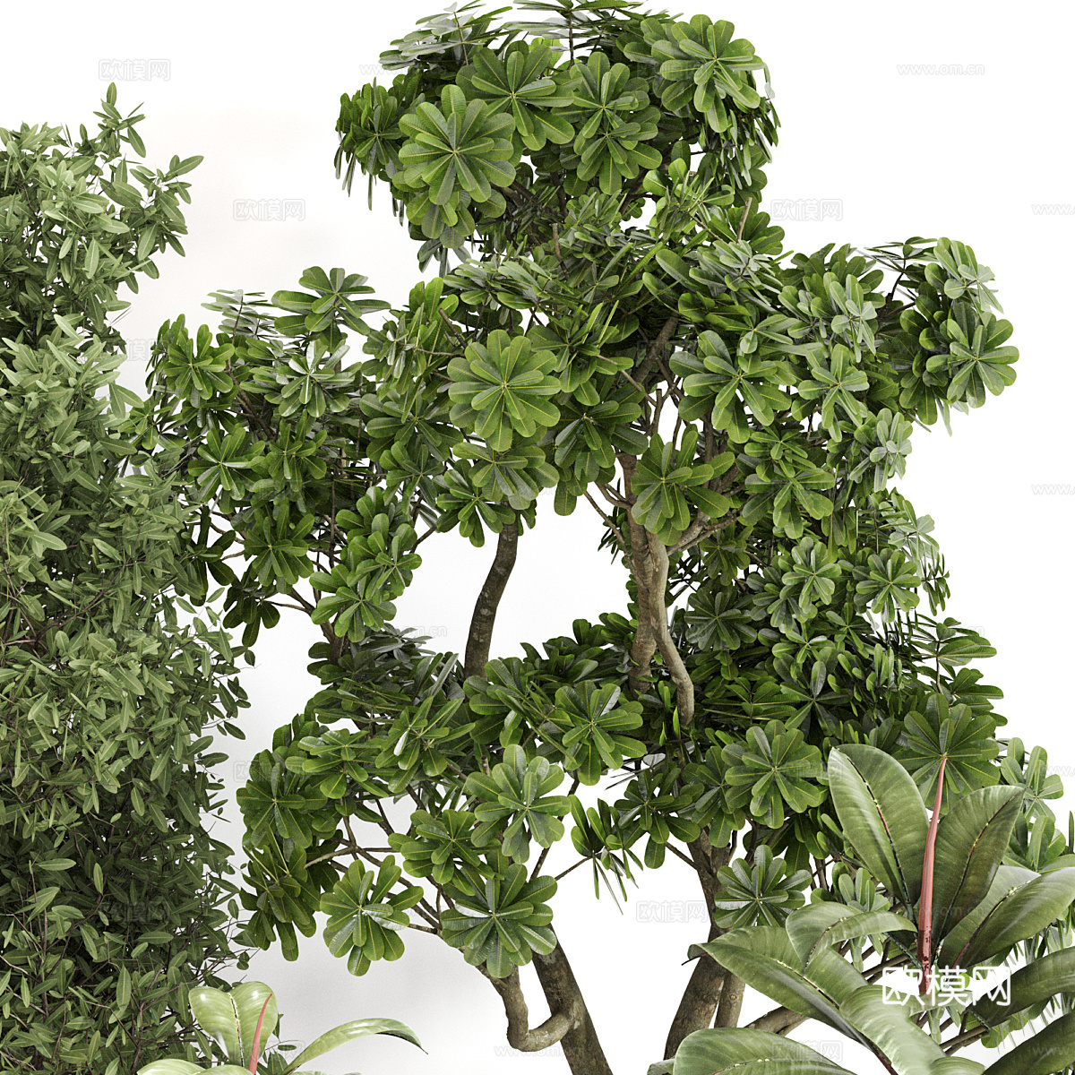 新中式绿植盆栽3d模型