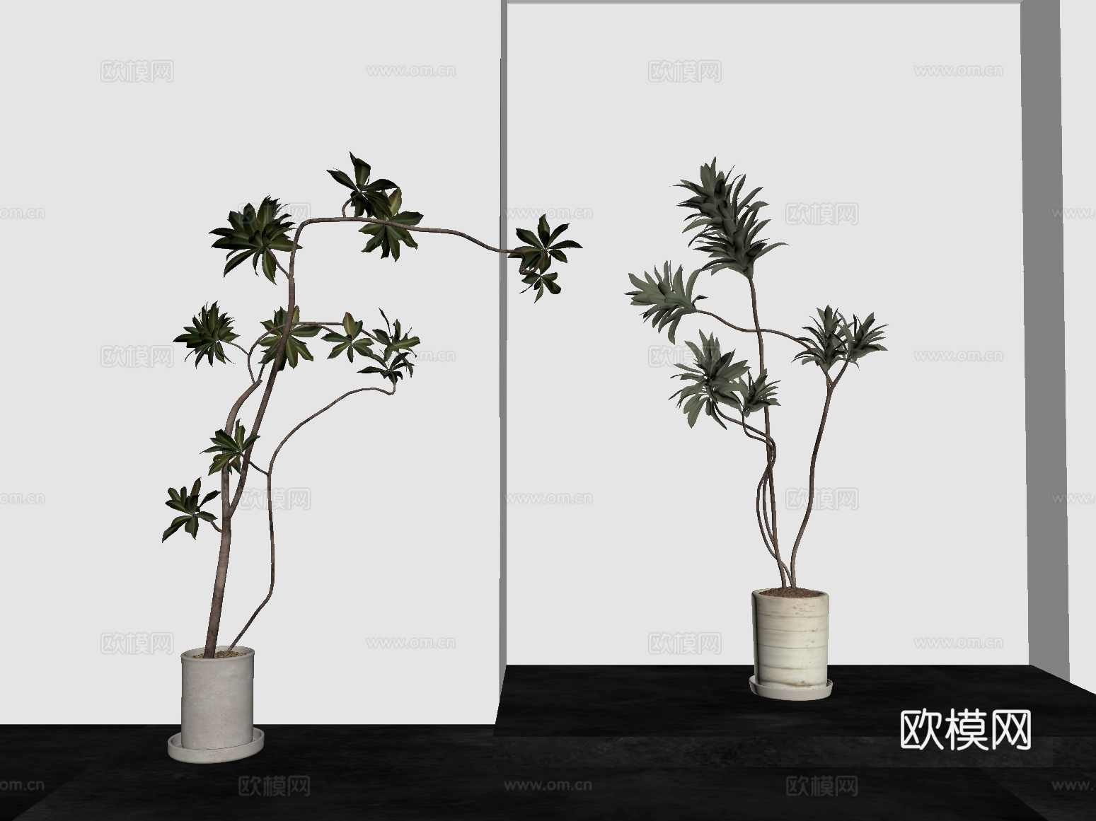 绿植 中古风绿植盆栽 盆景 树su模型