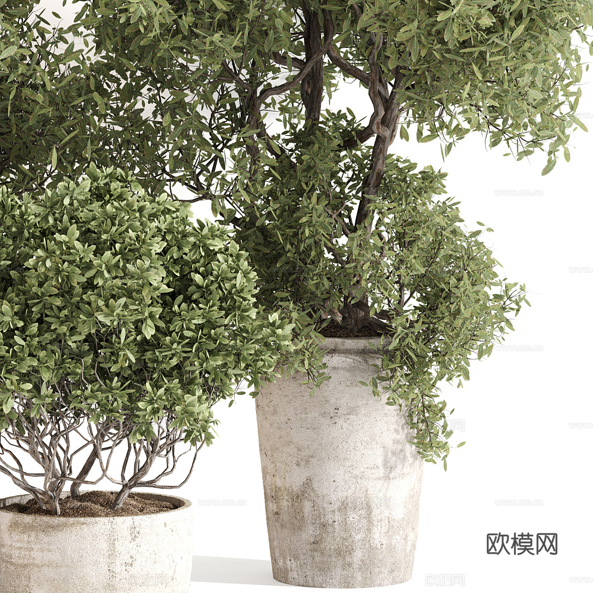 新中式侘寂绿植盆栽3d模型