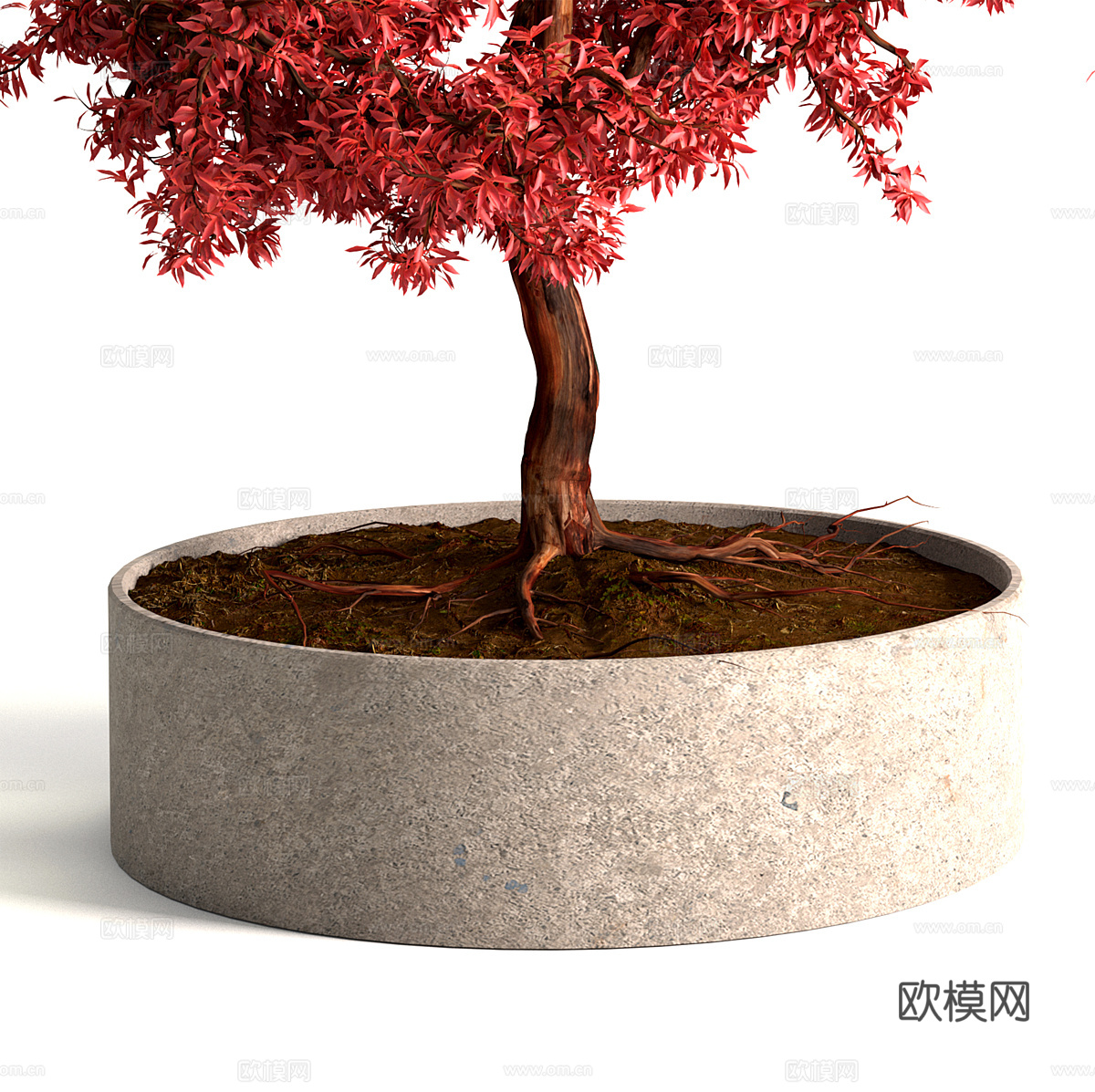 新中式红枫盆景盆栽3d模型