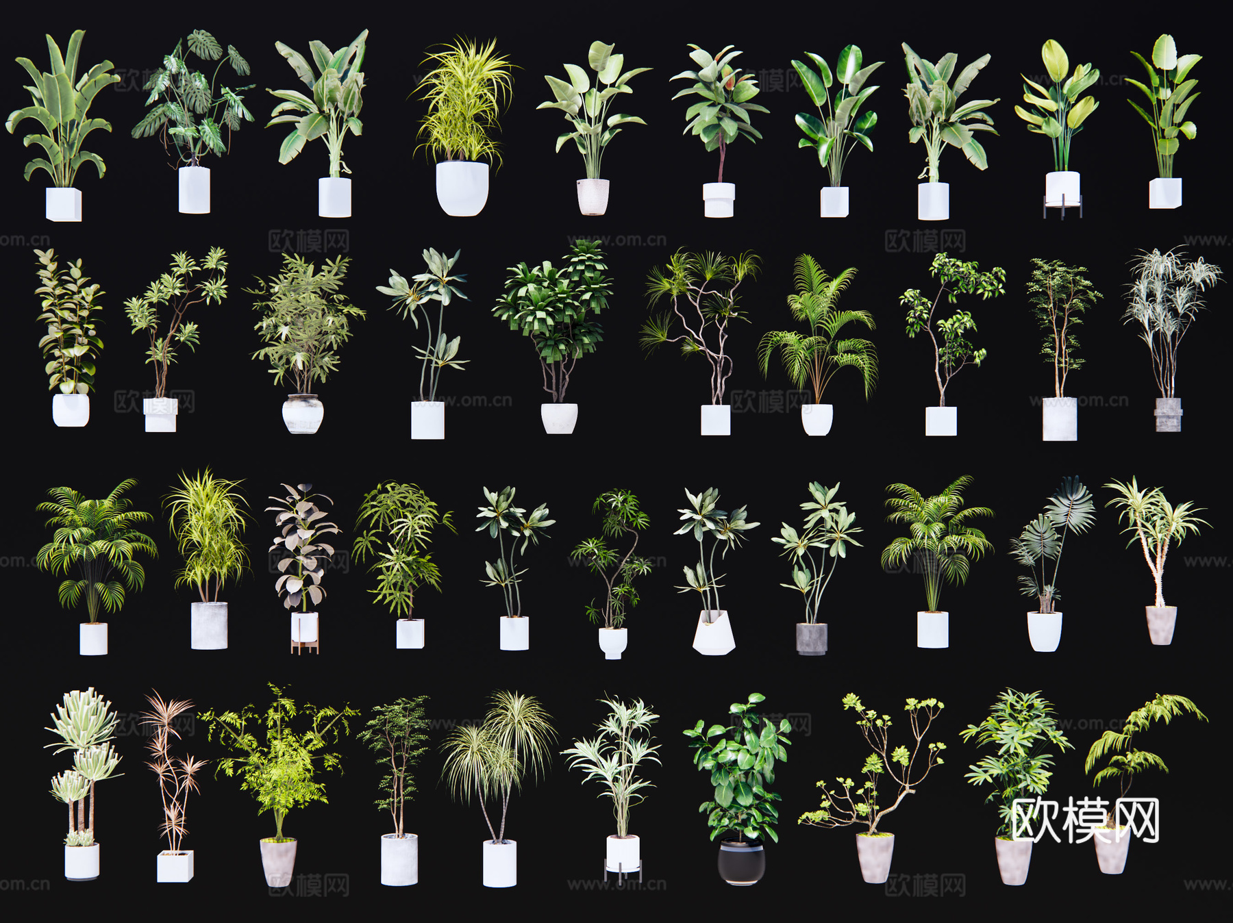 现代绿植盆栽 植物盆景盆栽 室内盆景盆栽 热带植物花盆摆件su模型