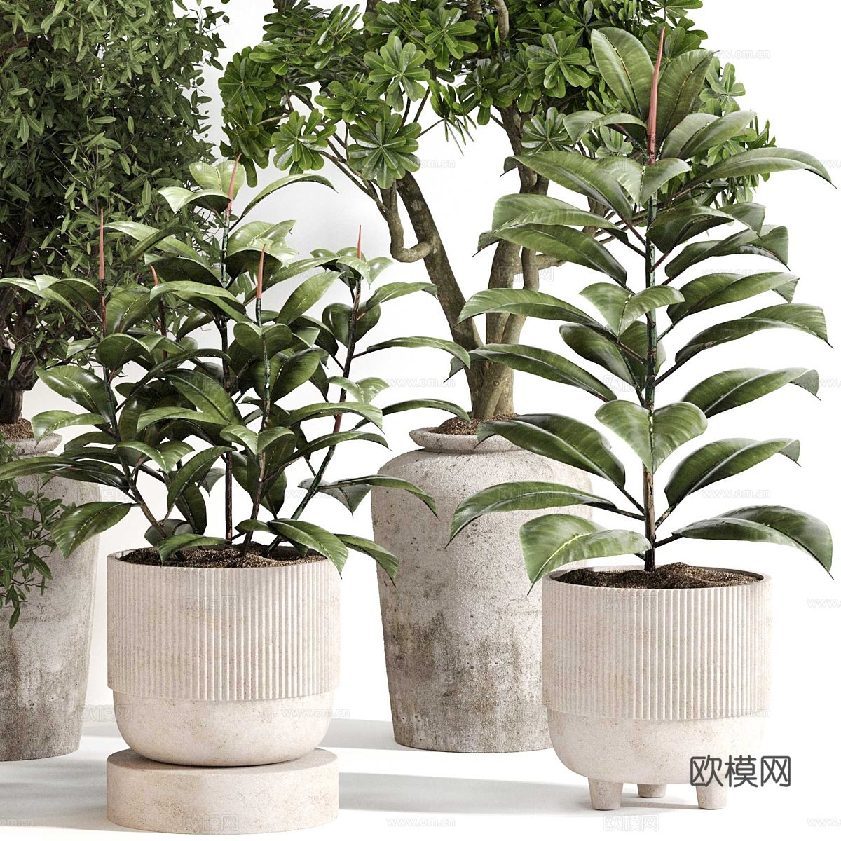 新中式绿植盆栽3d模型