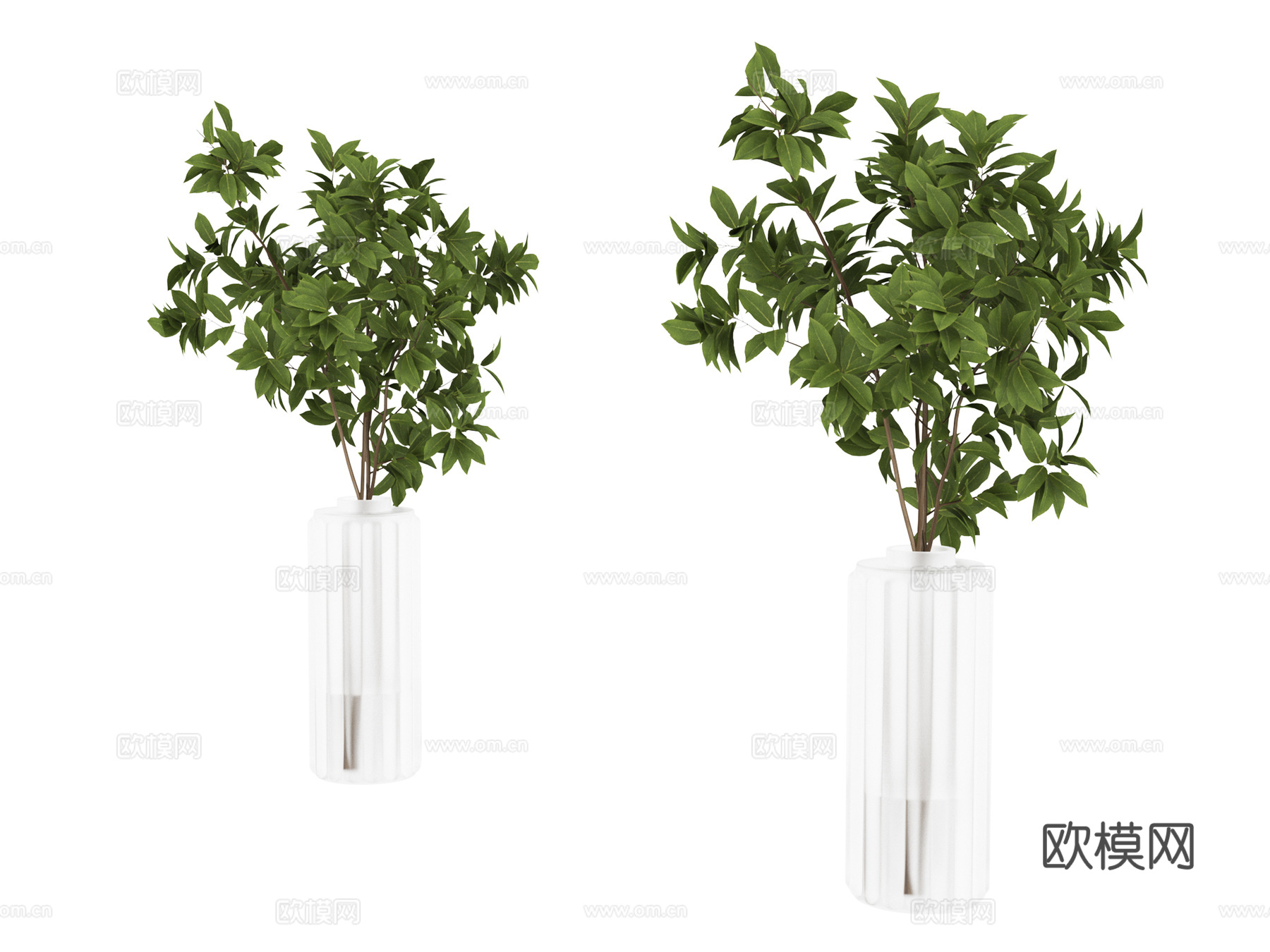 植物 盆栽3d模型