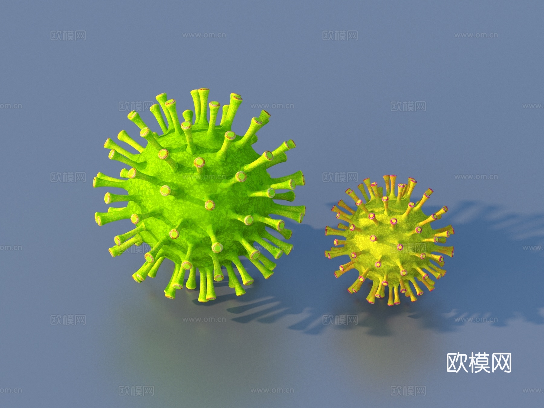 病毒 免疫系统3d模型