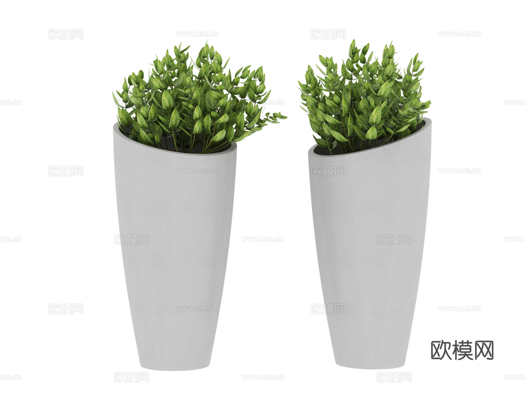 植物 盆栽3d模型