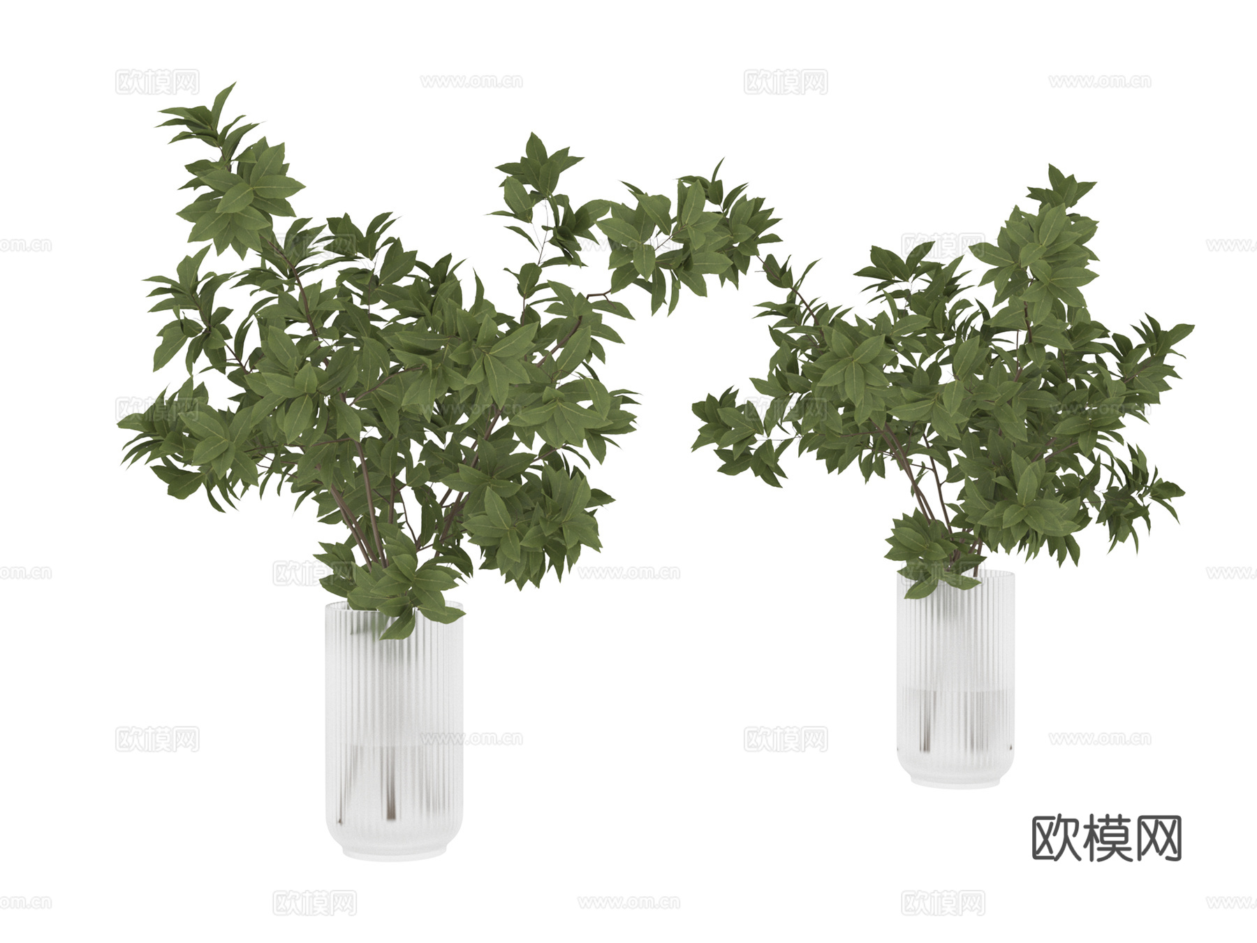 植物 盆栽3d模型