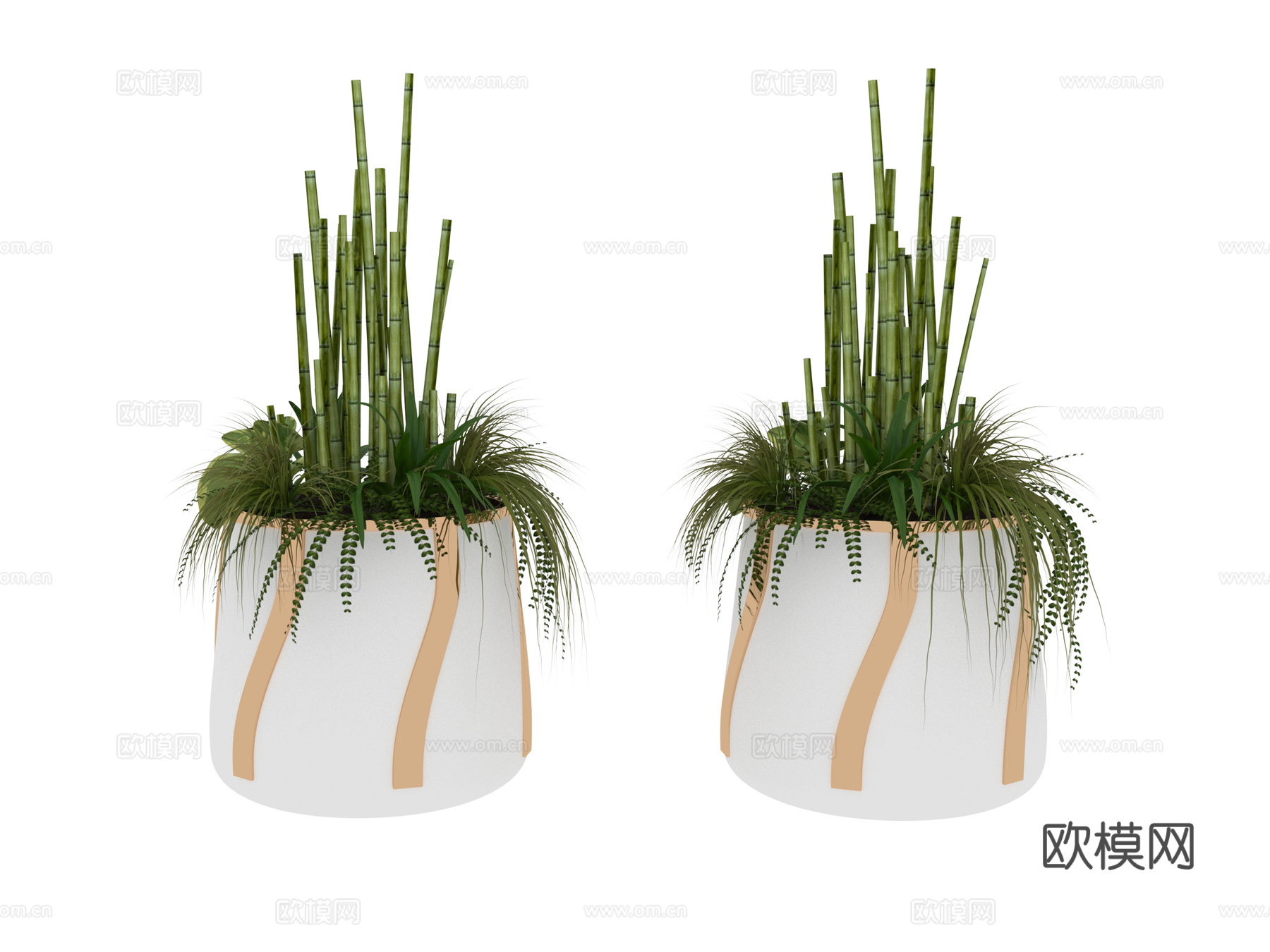 植物 盆栽树3d模型