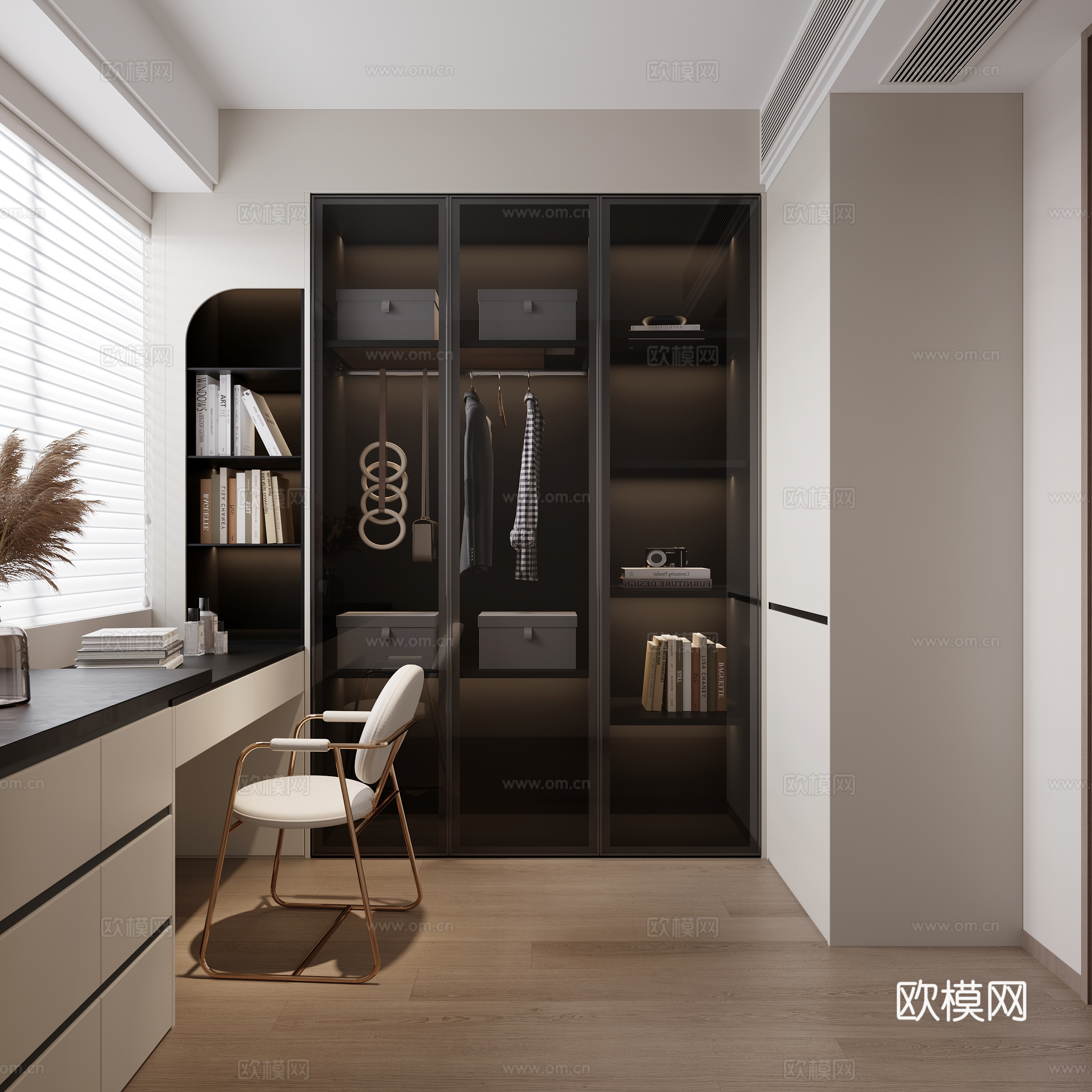 现代黑白灰衣帽间3d模型