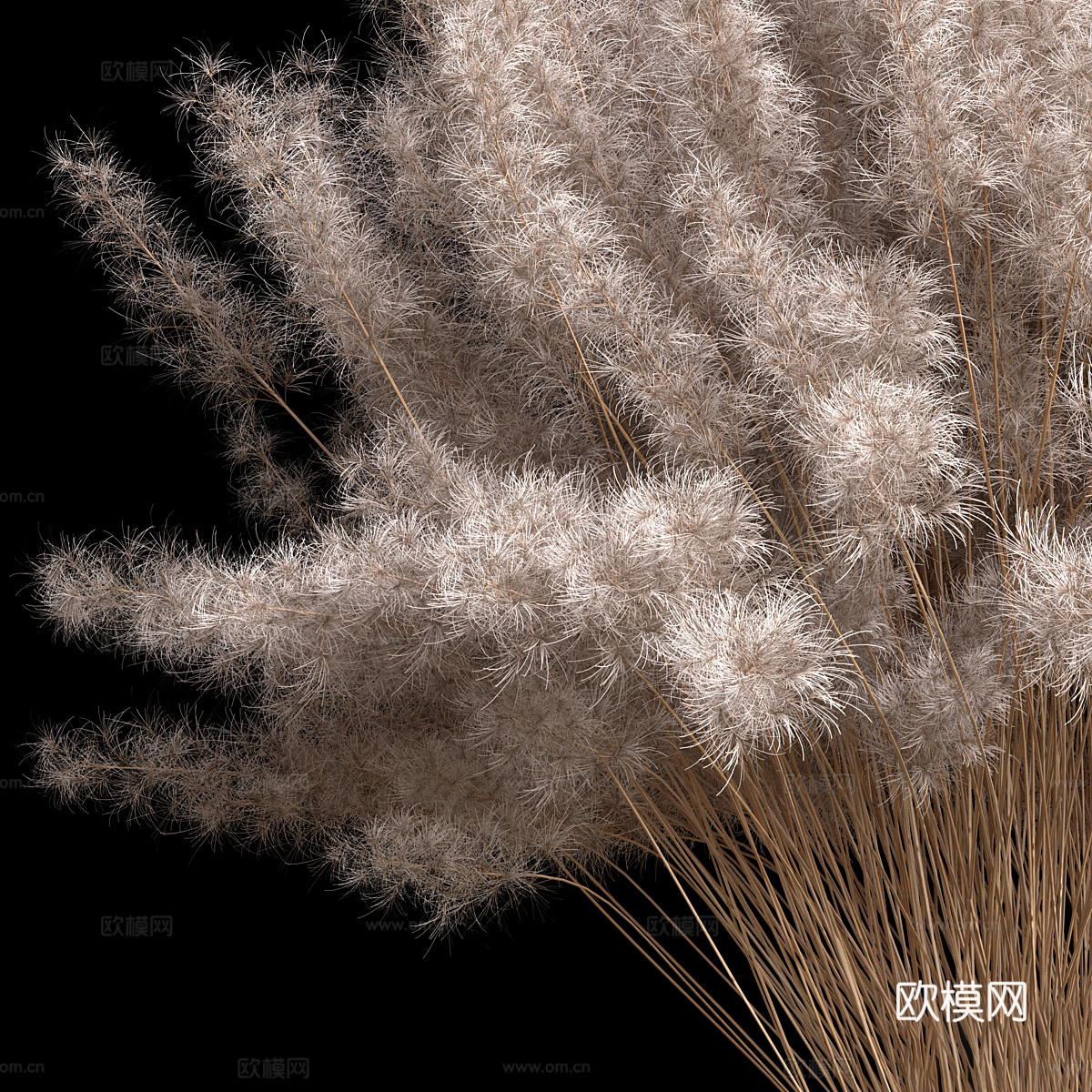 现代花瓶花艺 干花3d模型