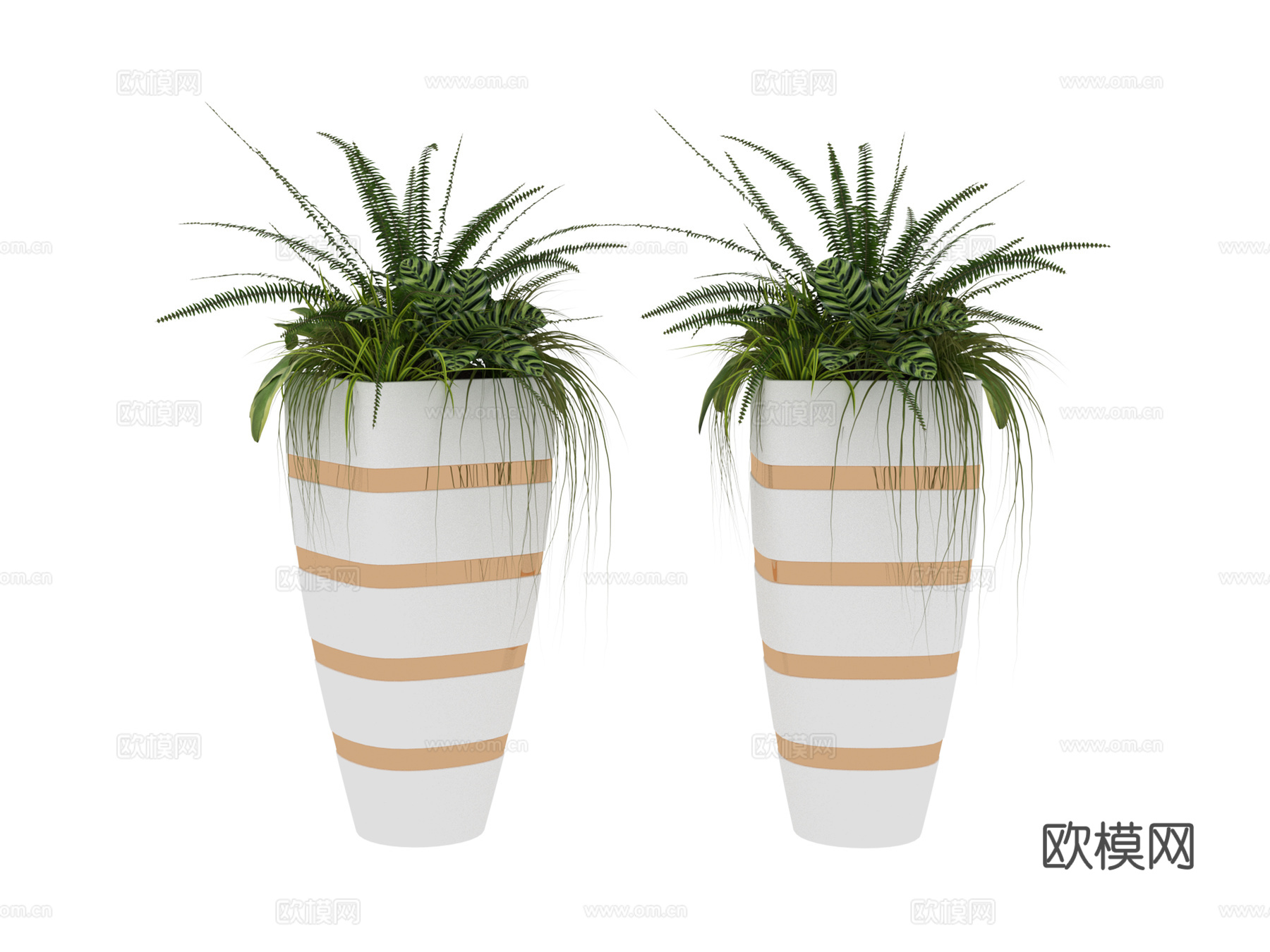 植物 盆栽树3d模型