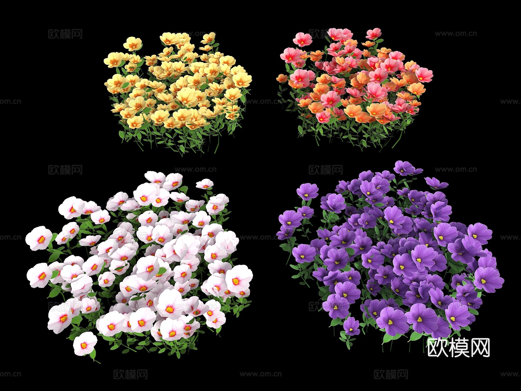 花卉 花草 花朵 室外植物 景观花 灌木绿篱 植物 绿化景观3d模型