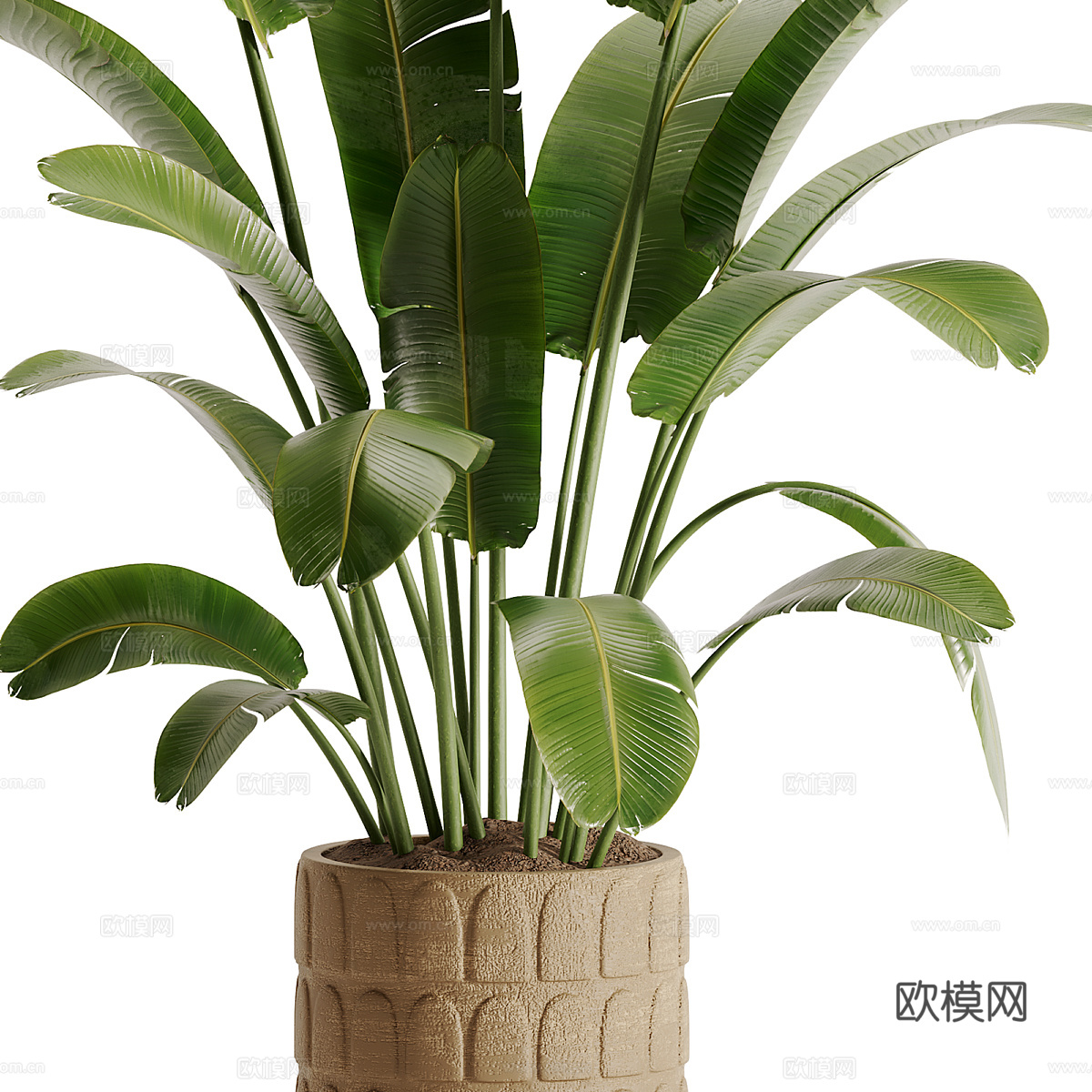 新中式侘寂绿植盆栽3d模型