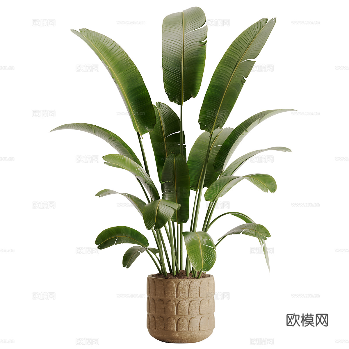 新中式侘寂绿植盆栽3d模型