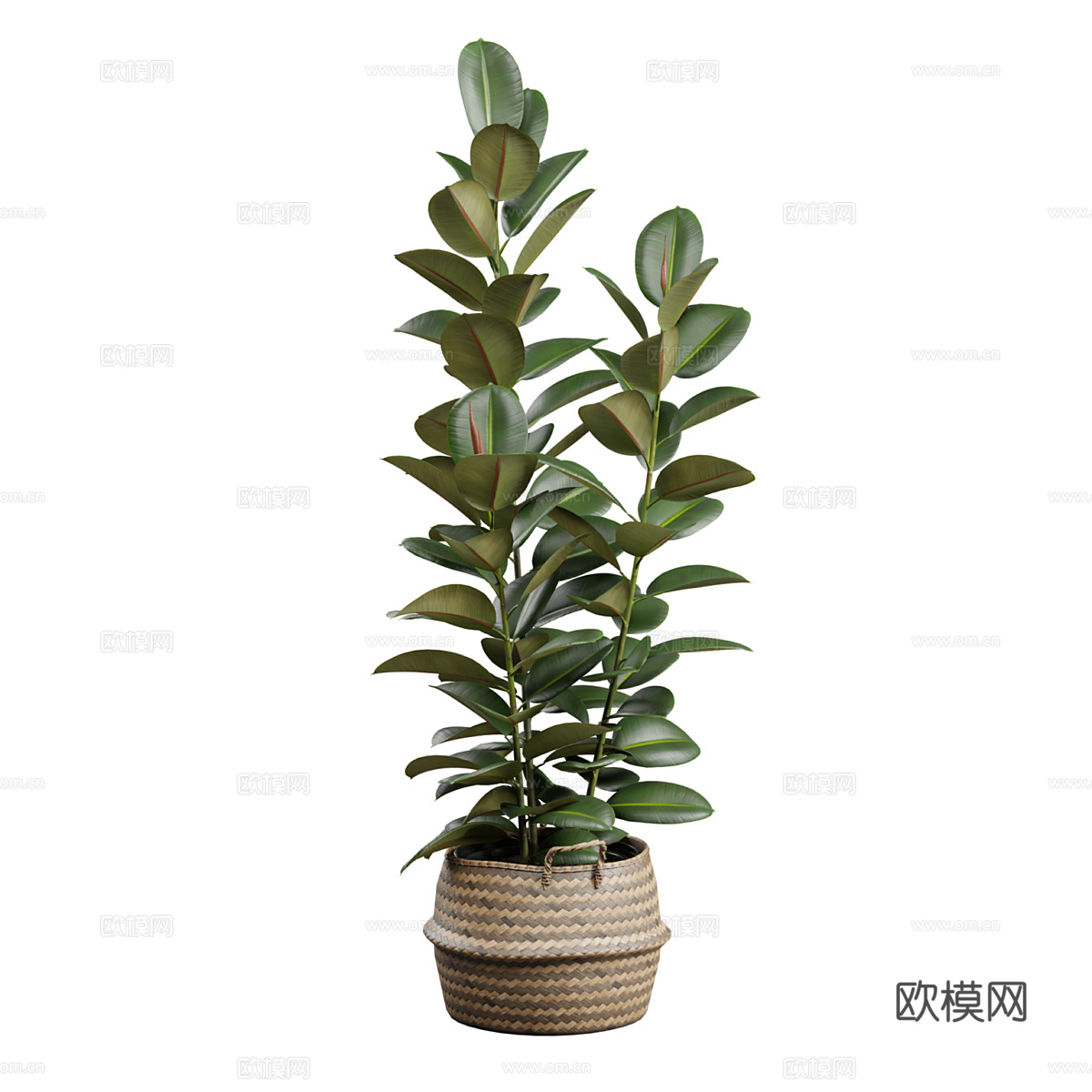 新中式绿植盆栽3d模型