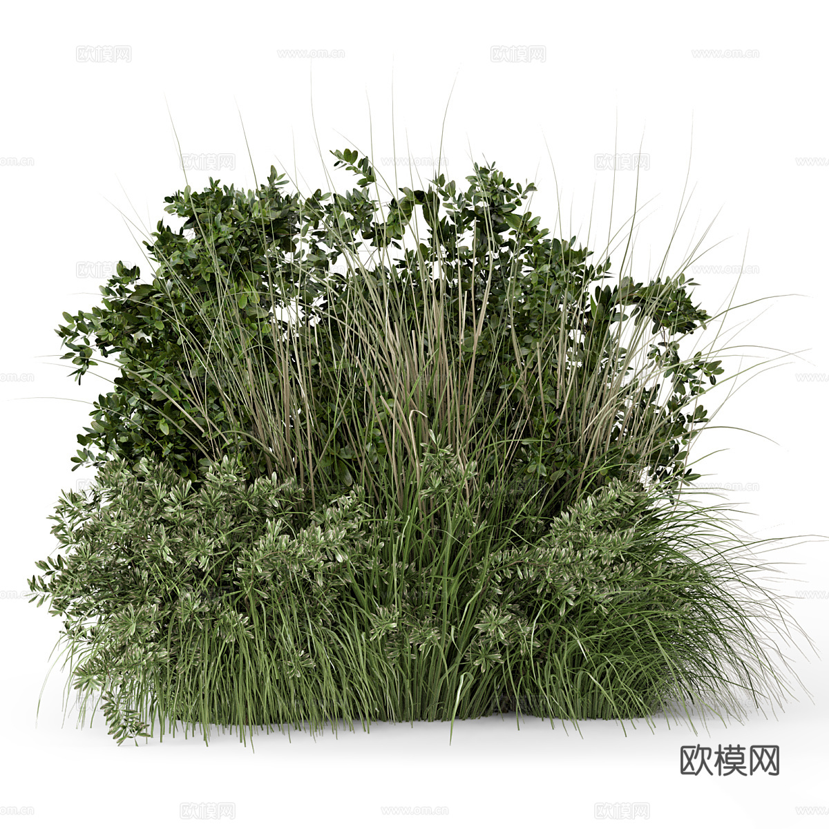 花草 灌木丛3d模型