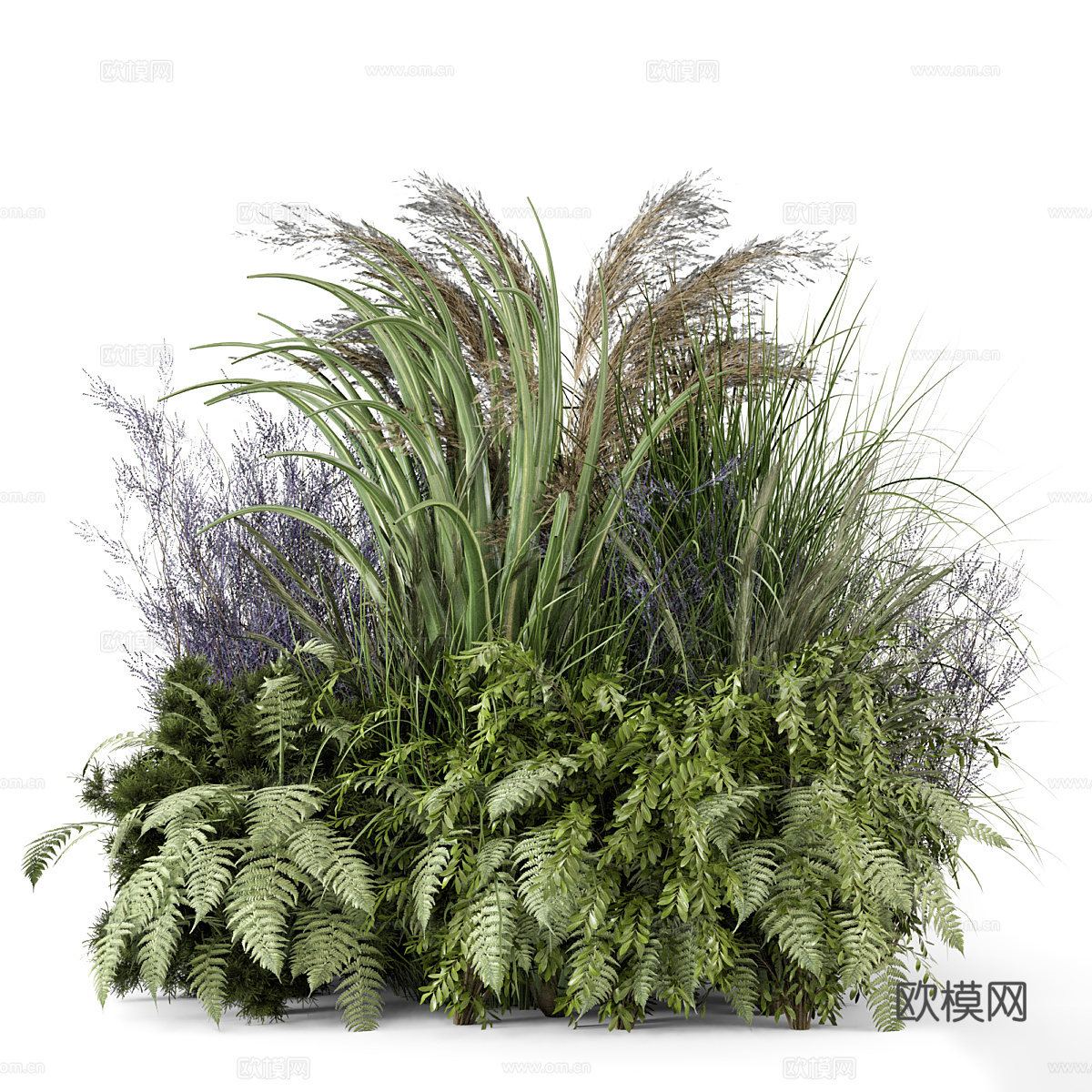 花草 灌木丛3d模型