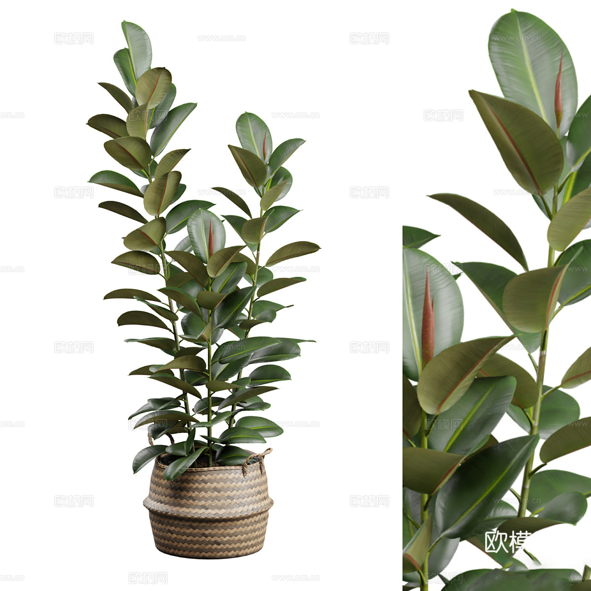 新中式绿植盆栽3d模型