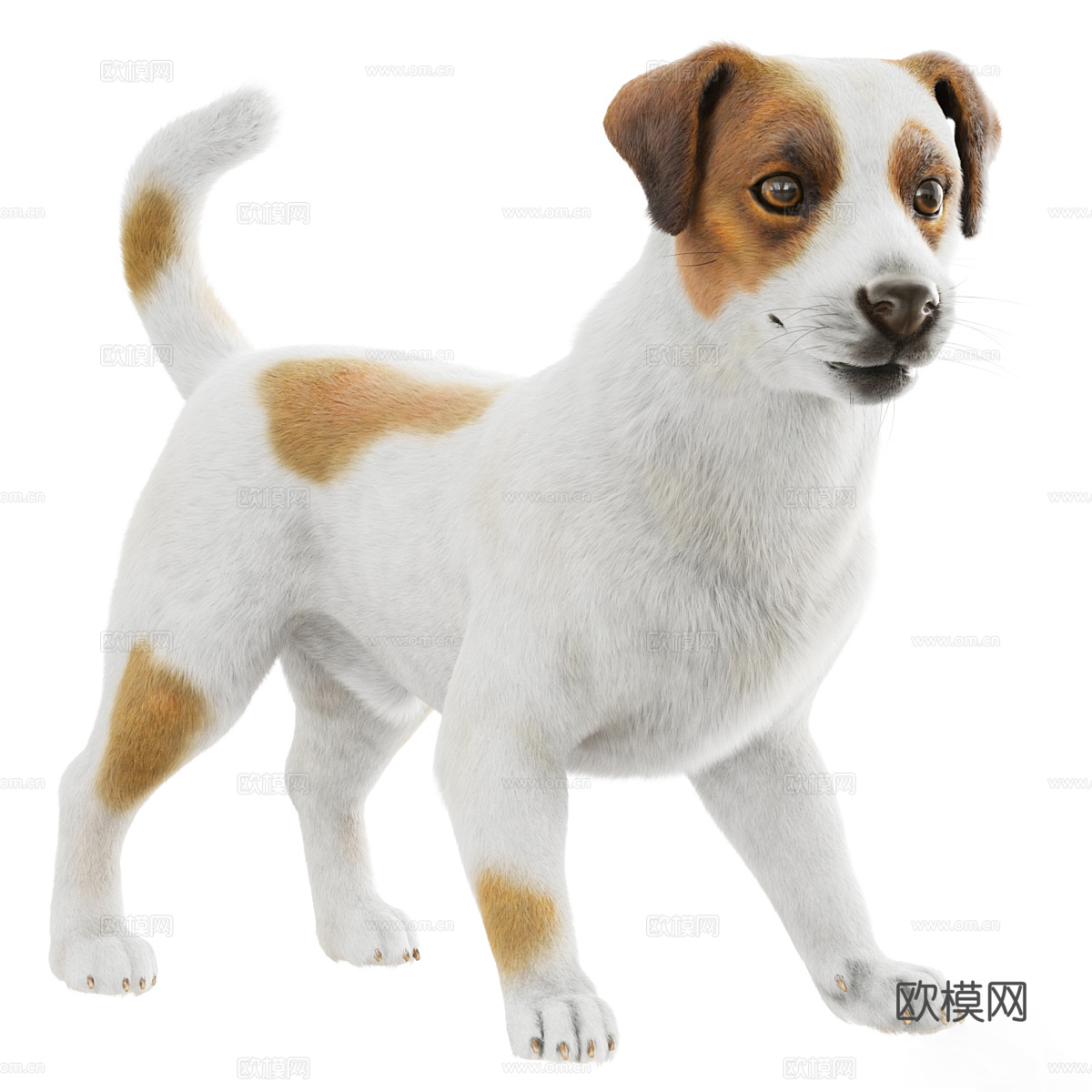 动物 狗3d模型