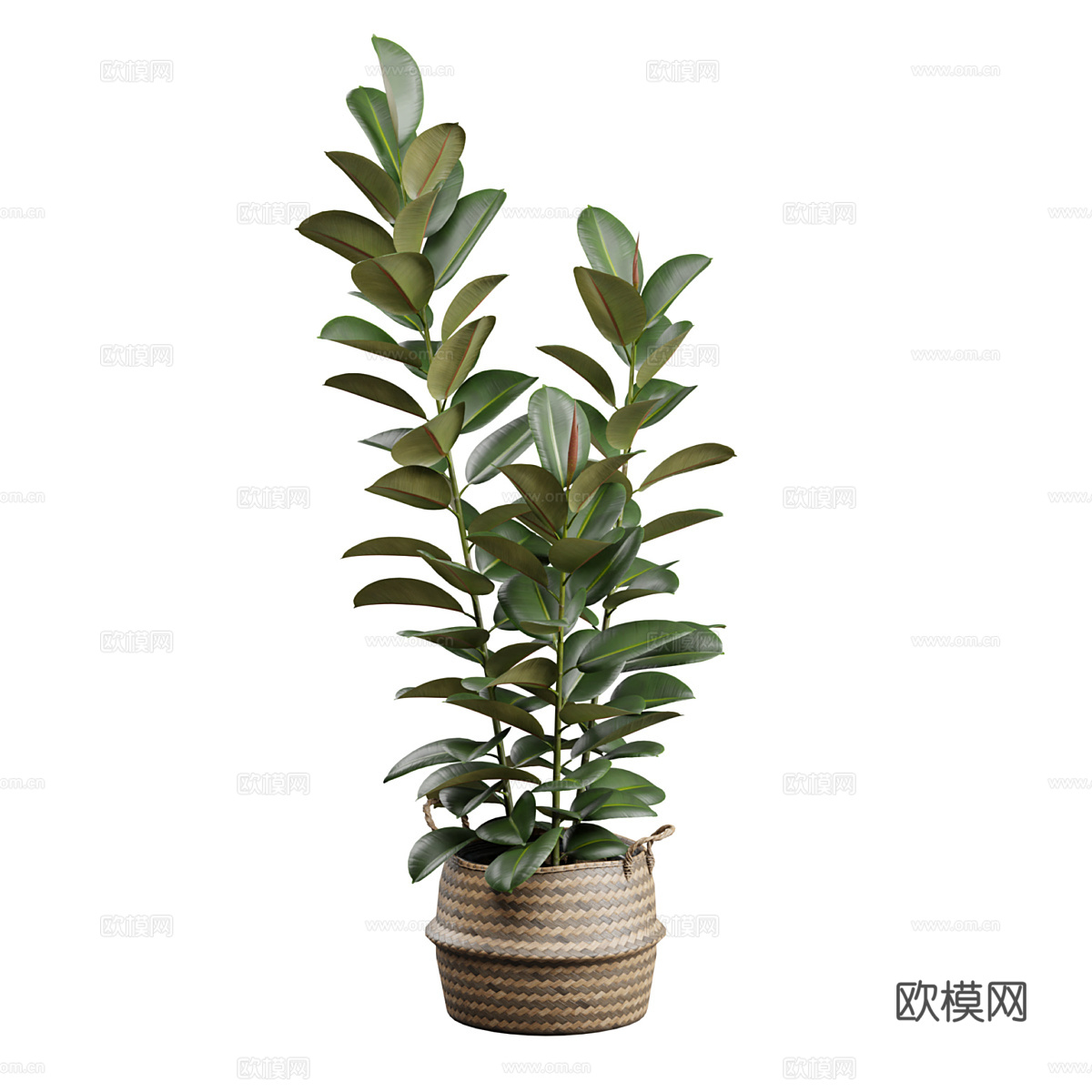 新中式绿植盆栽3d模型