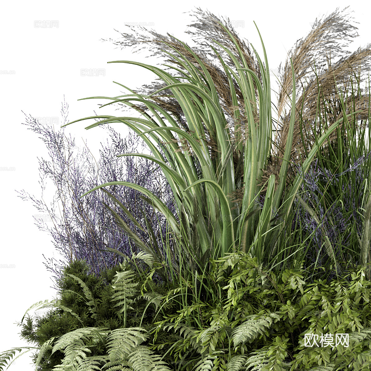 花草 灌木丛3d模型