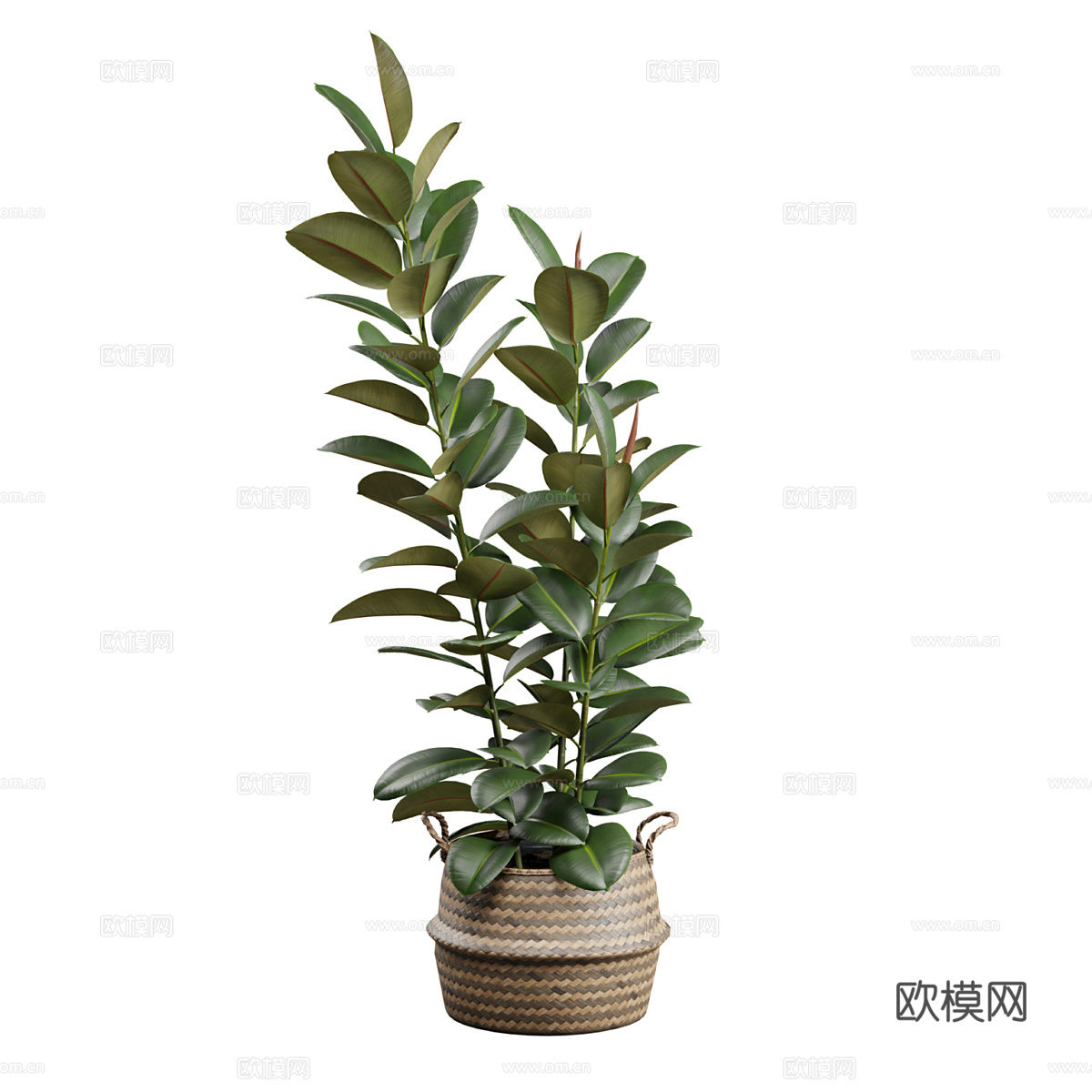 新中式绿植盆栽3d模型
