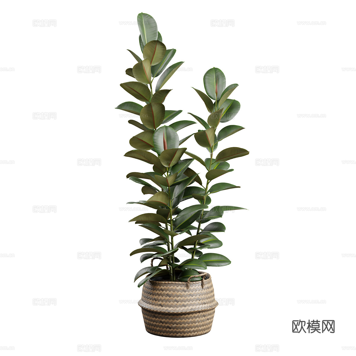 新中式绿植盆栽3d模型
