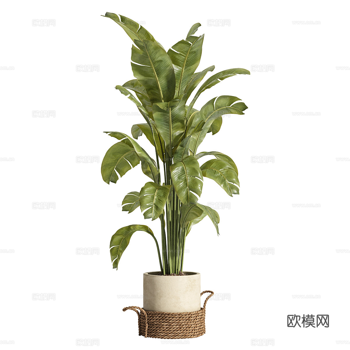 花瓶花卉3d模型
