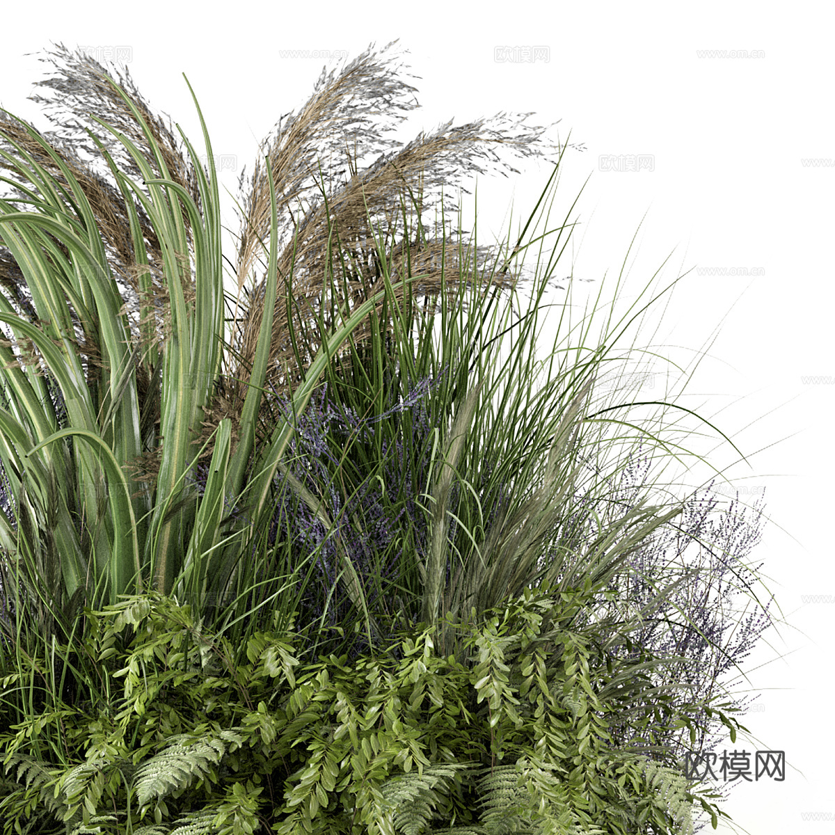 花草 灌木丛3d模型