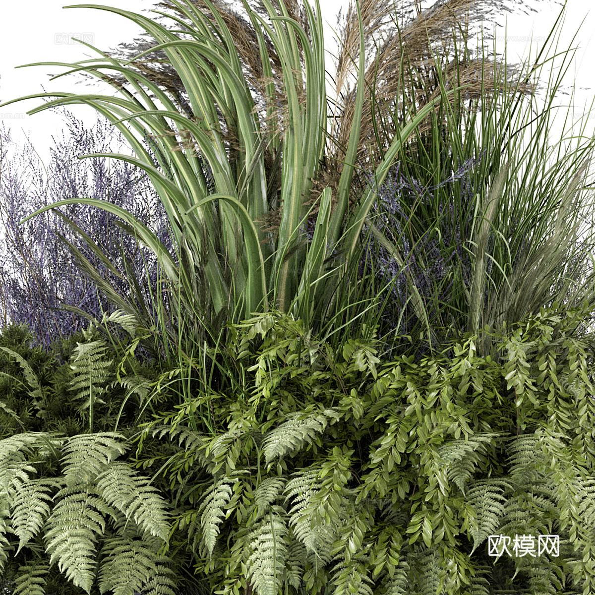 花草 灌木丛3d模型