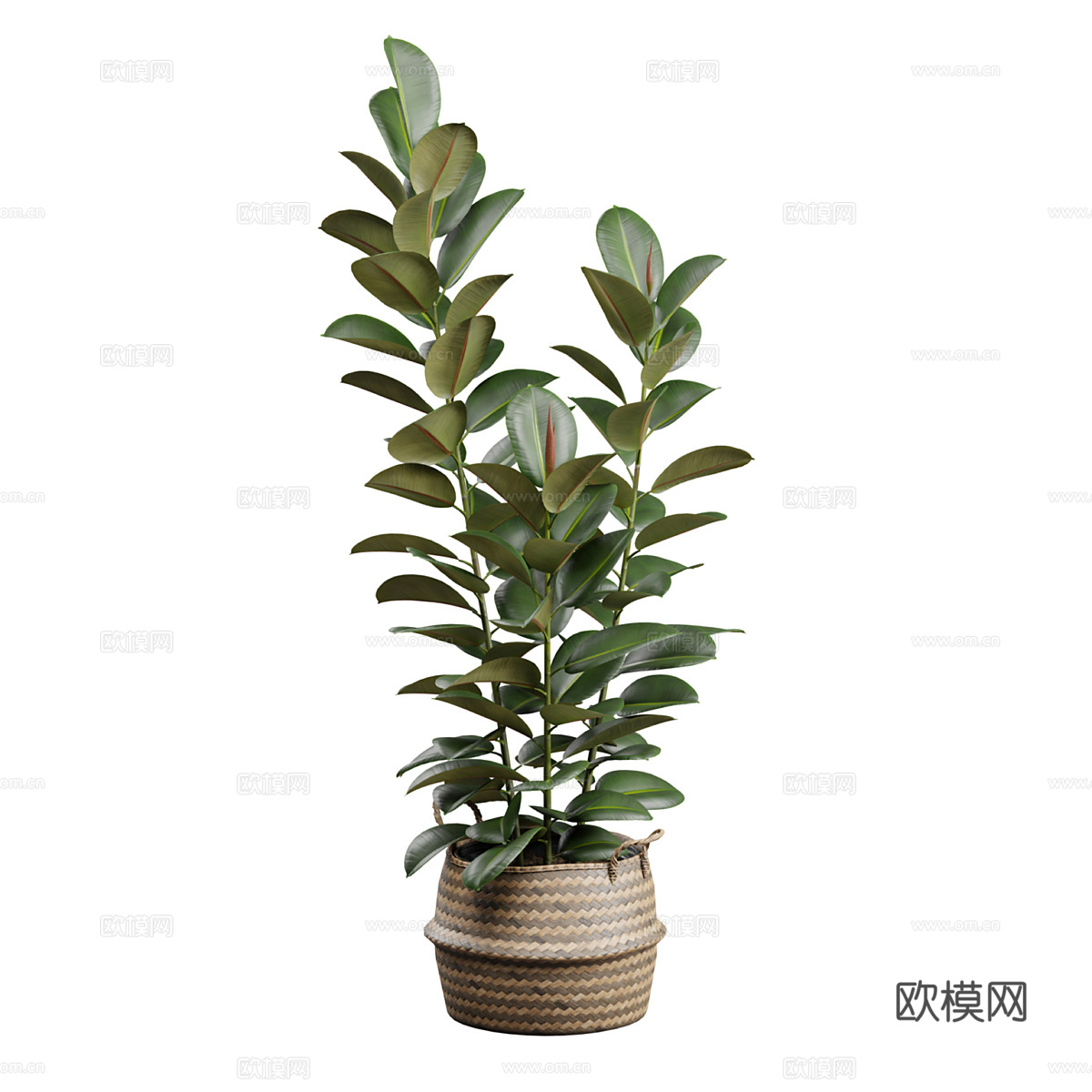 新中式绿植盆栽3d模型