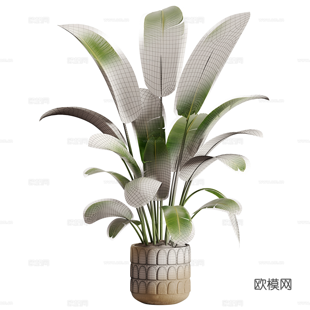 新中式侘寂绿植盆栽3d模型