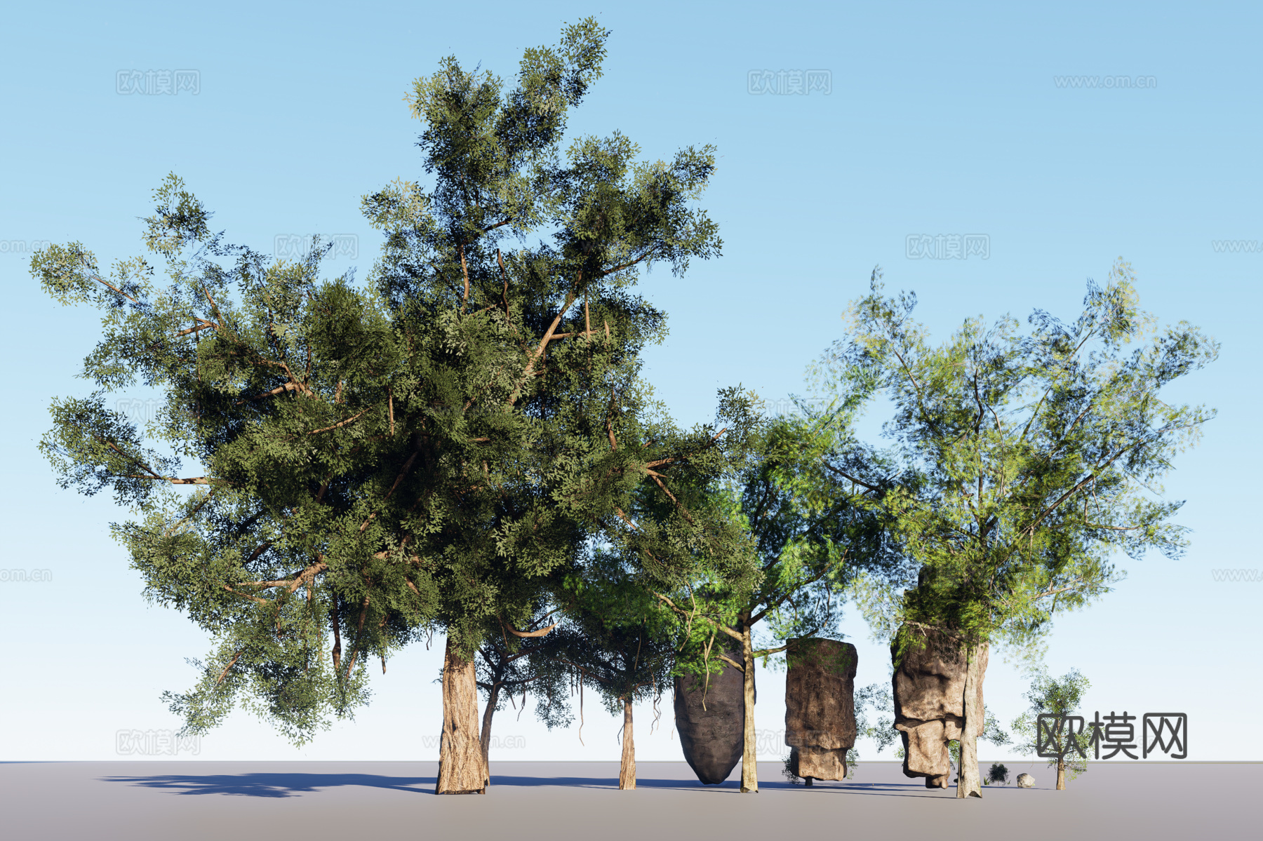 植物组合3d模型